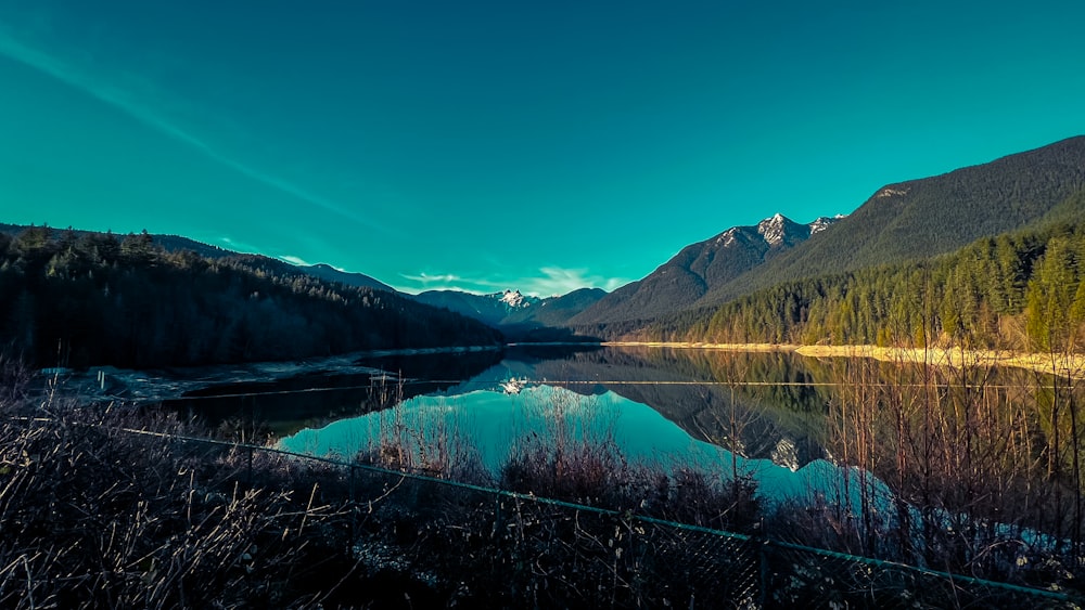 a body of water surrounded by mountains and trees