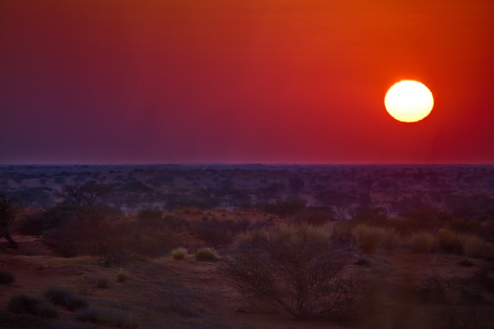 the sun is setting over a desert landscape