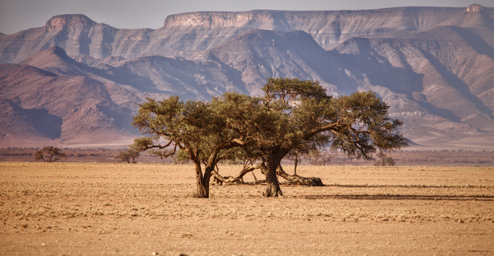 Richtersveld, Northern Cape