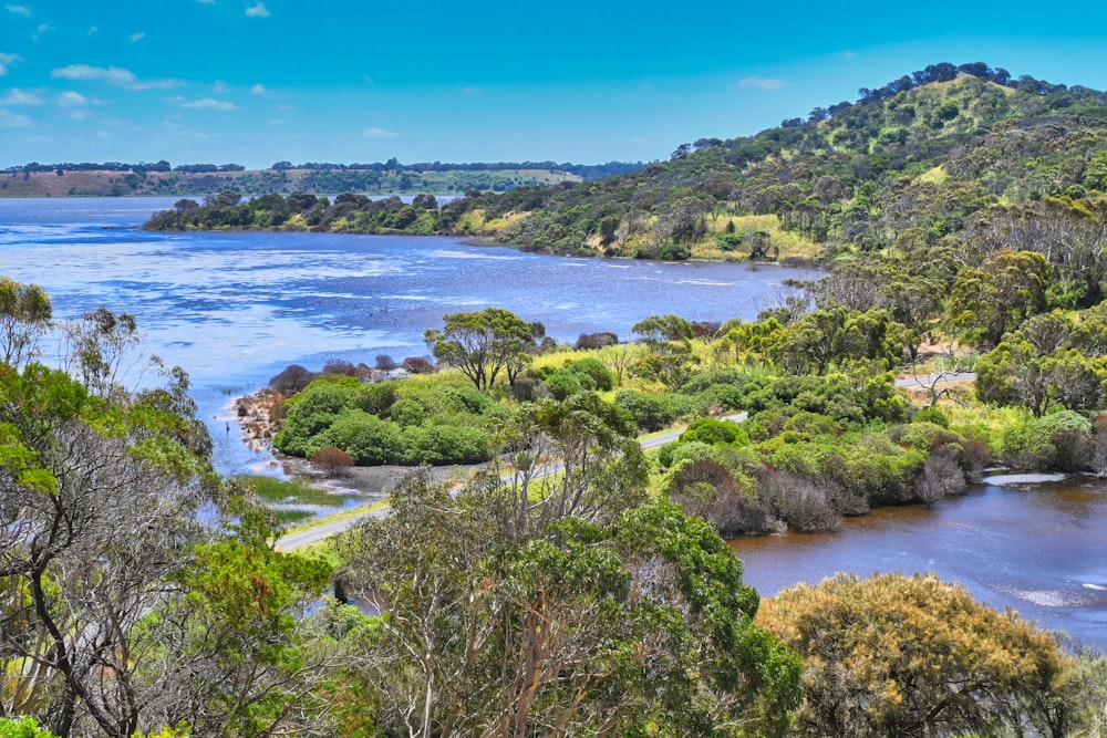 a scenic view of a river surrounded by trees