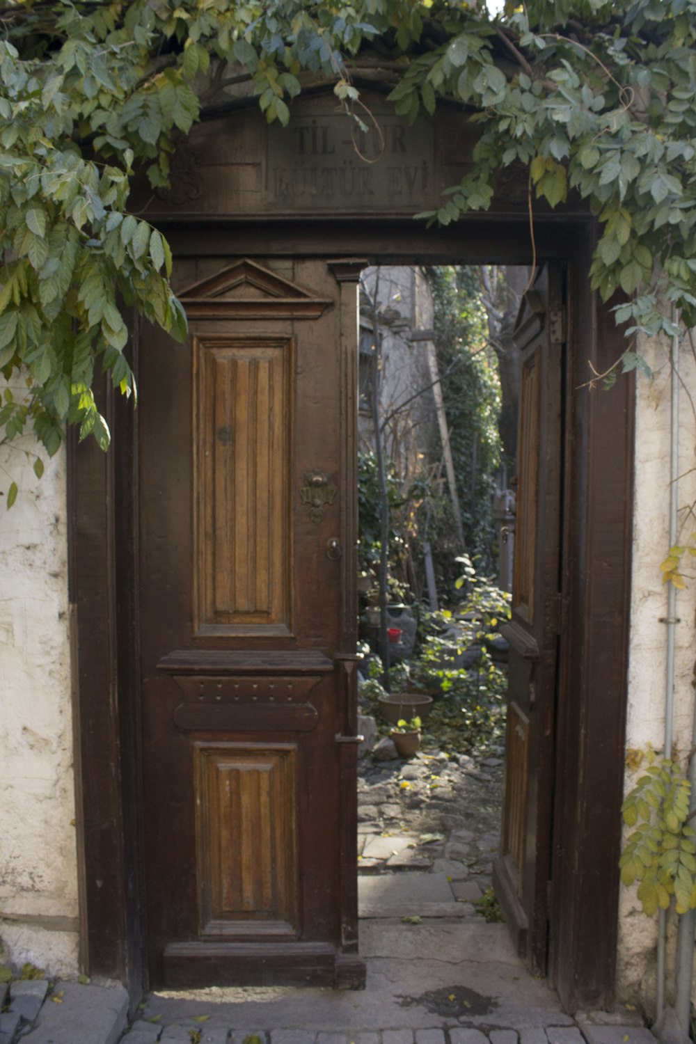 an open wooden door with vines growing over it