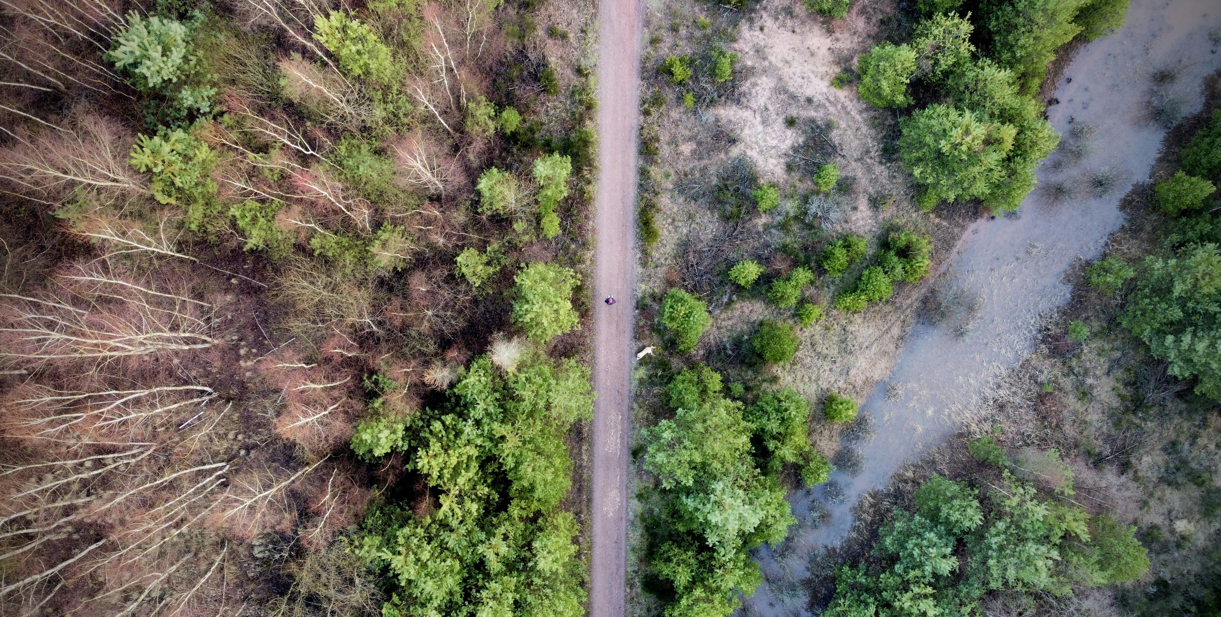 Photo by jul_raccoon