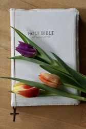 a book with a bunch of flowers on top of it