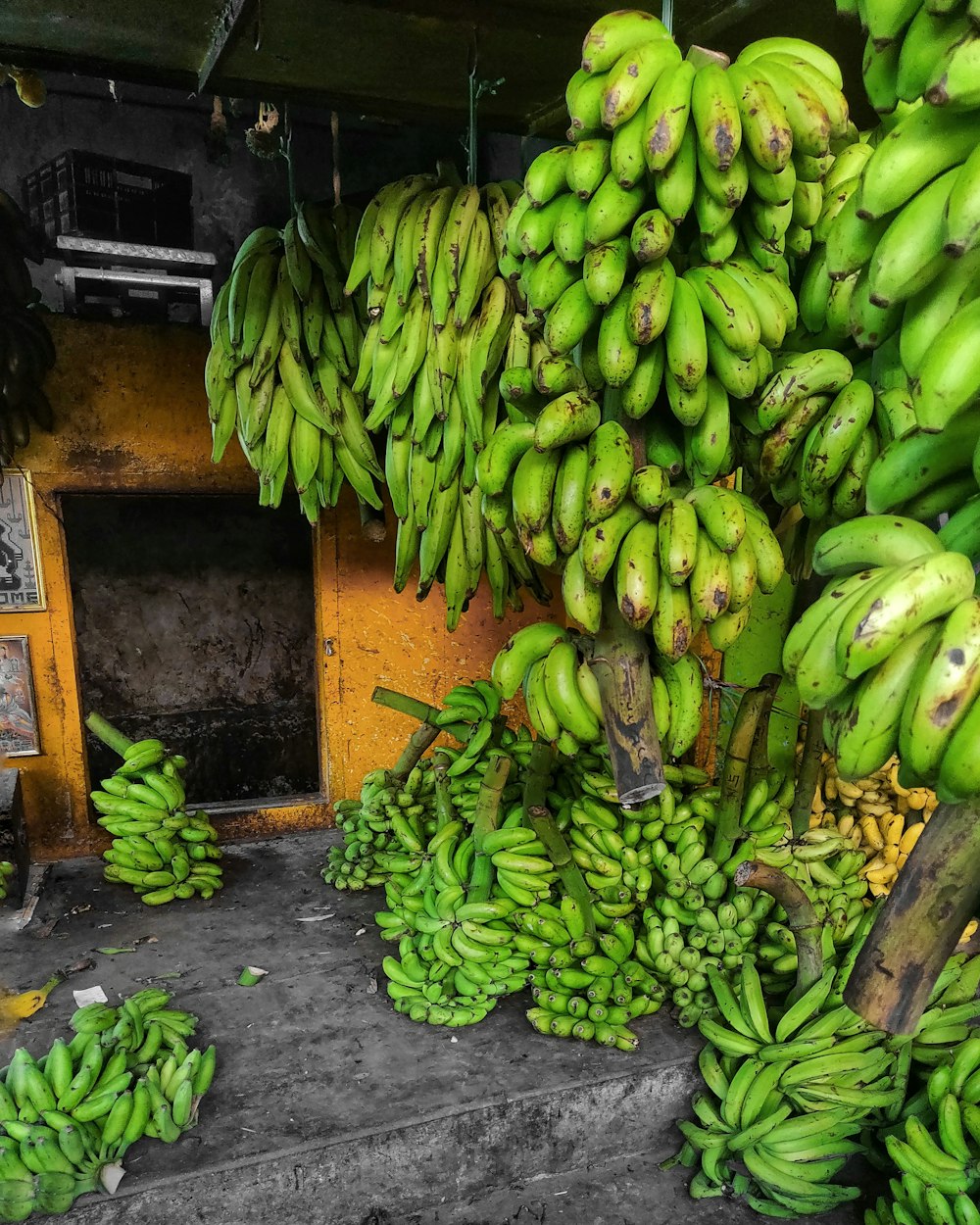 a bunch of green bananas hanging from a tree