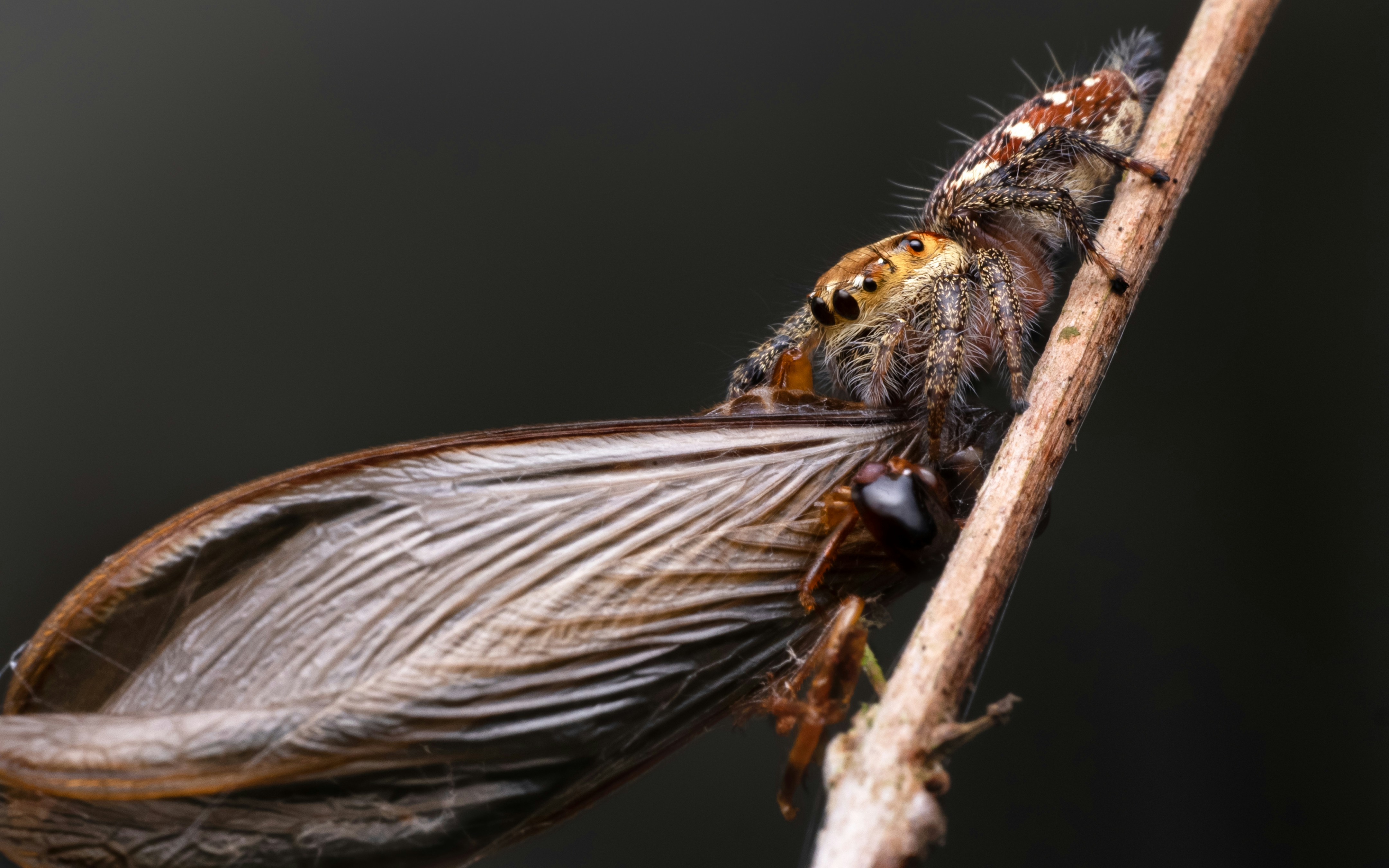 Photo by sahilmohamme841