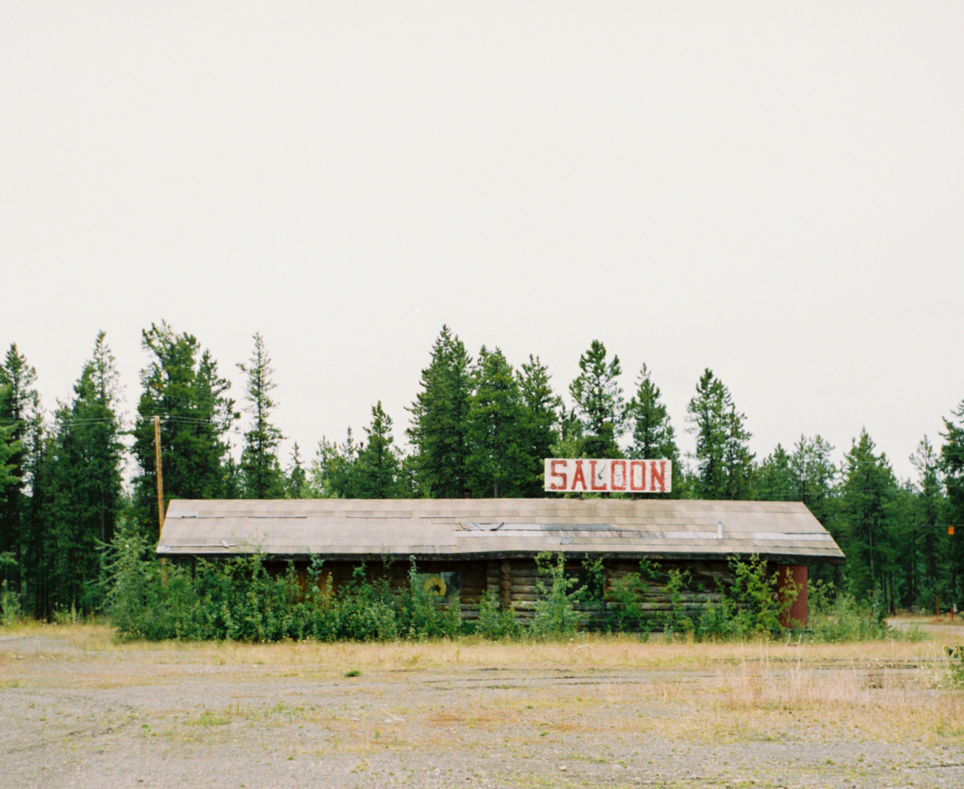 Photo by ellenborglund