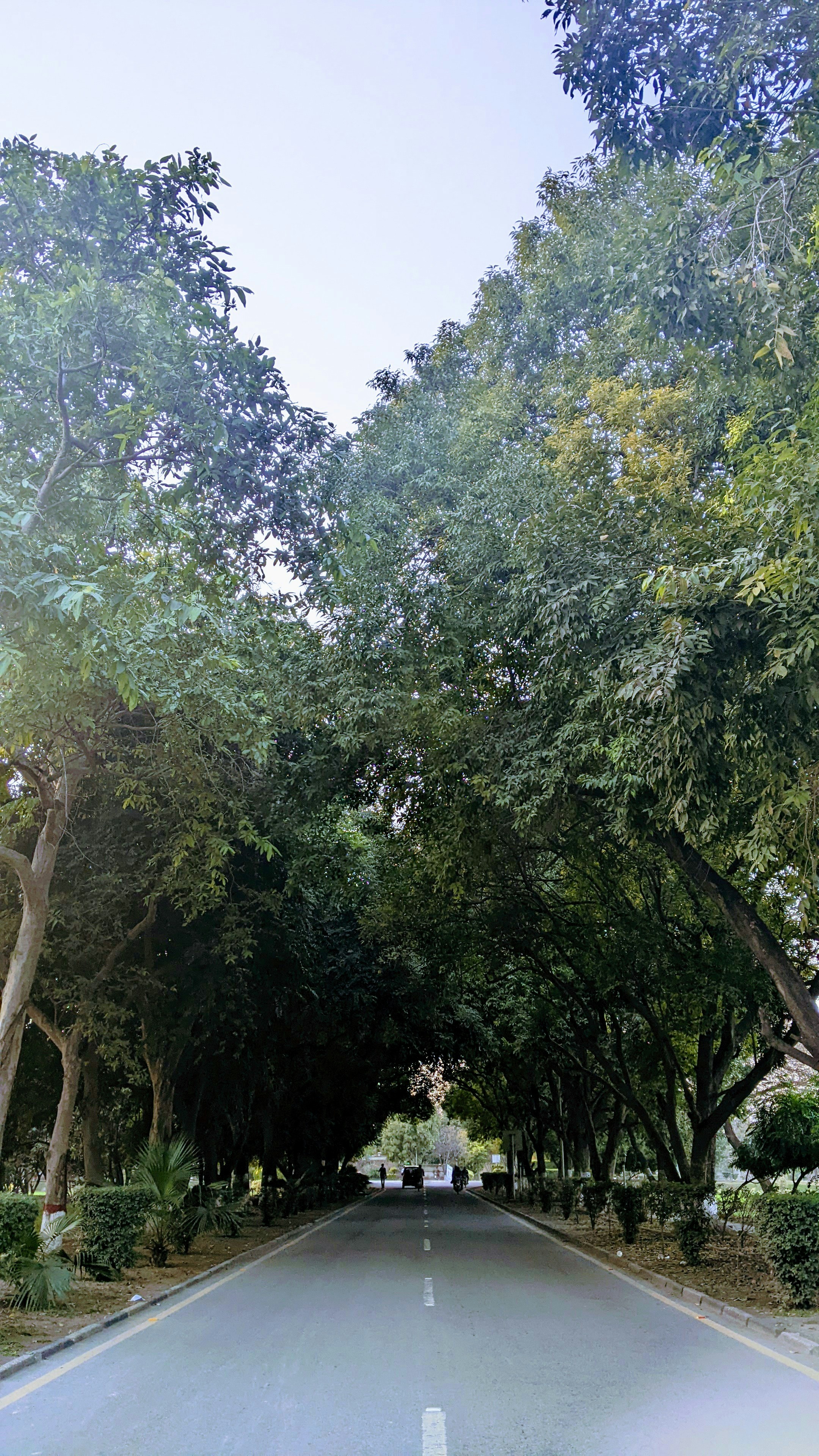 Photo by maryamcaptures