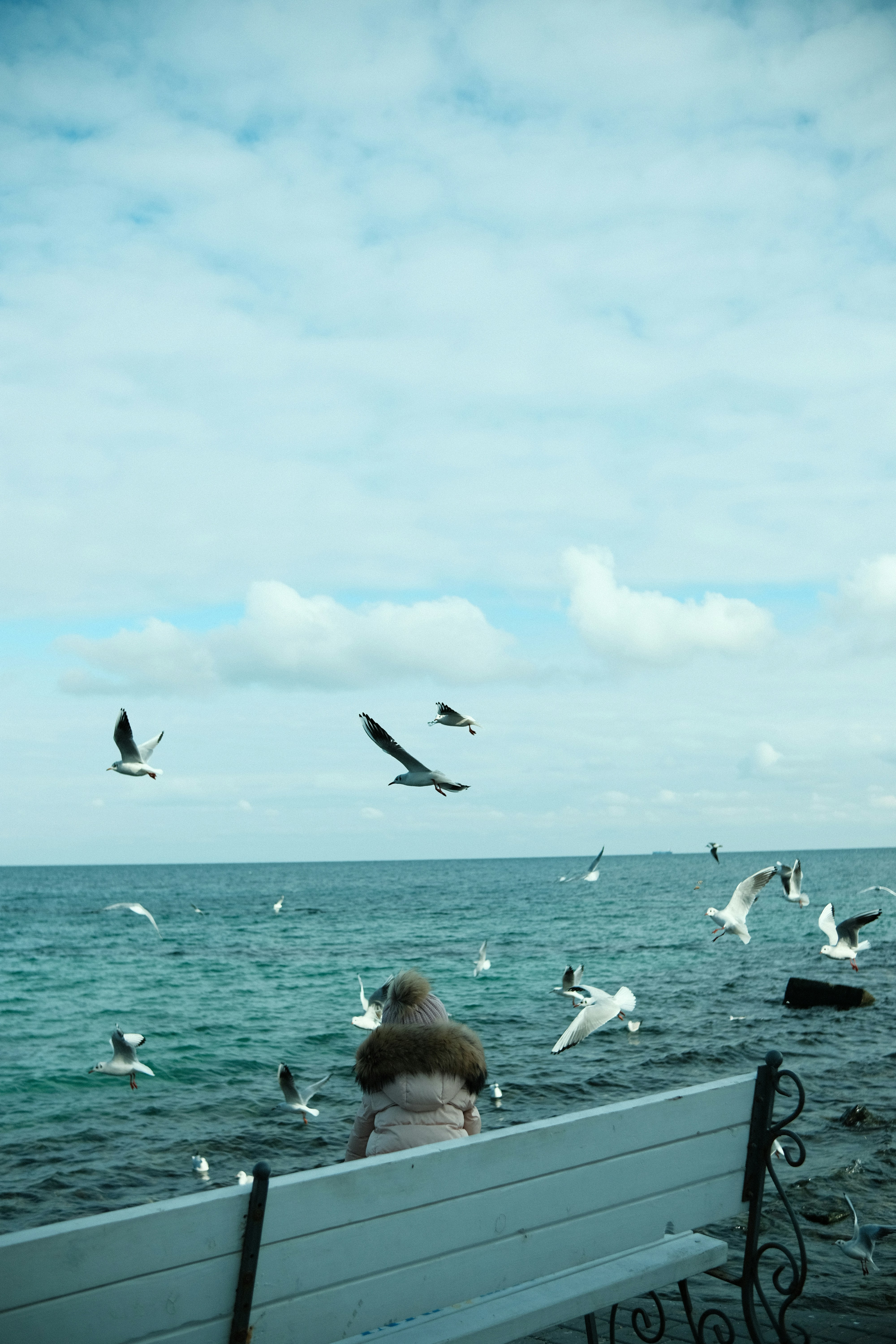 Photo by tobolenkoph