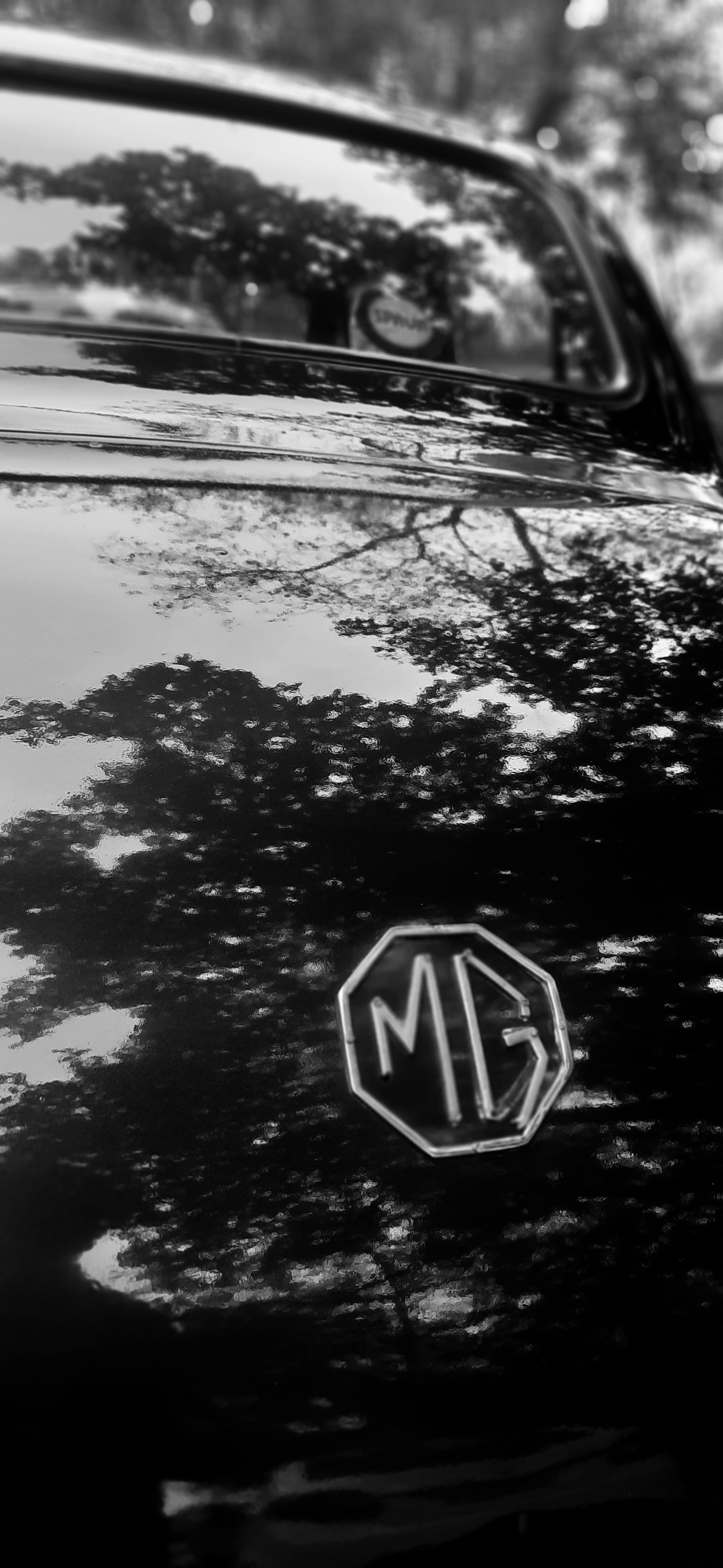 a close up of the emblem on a car