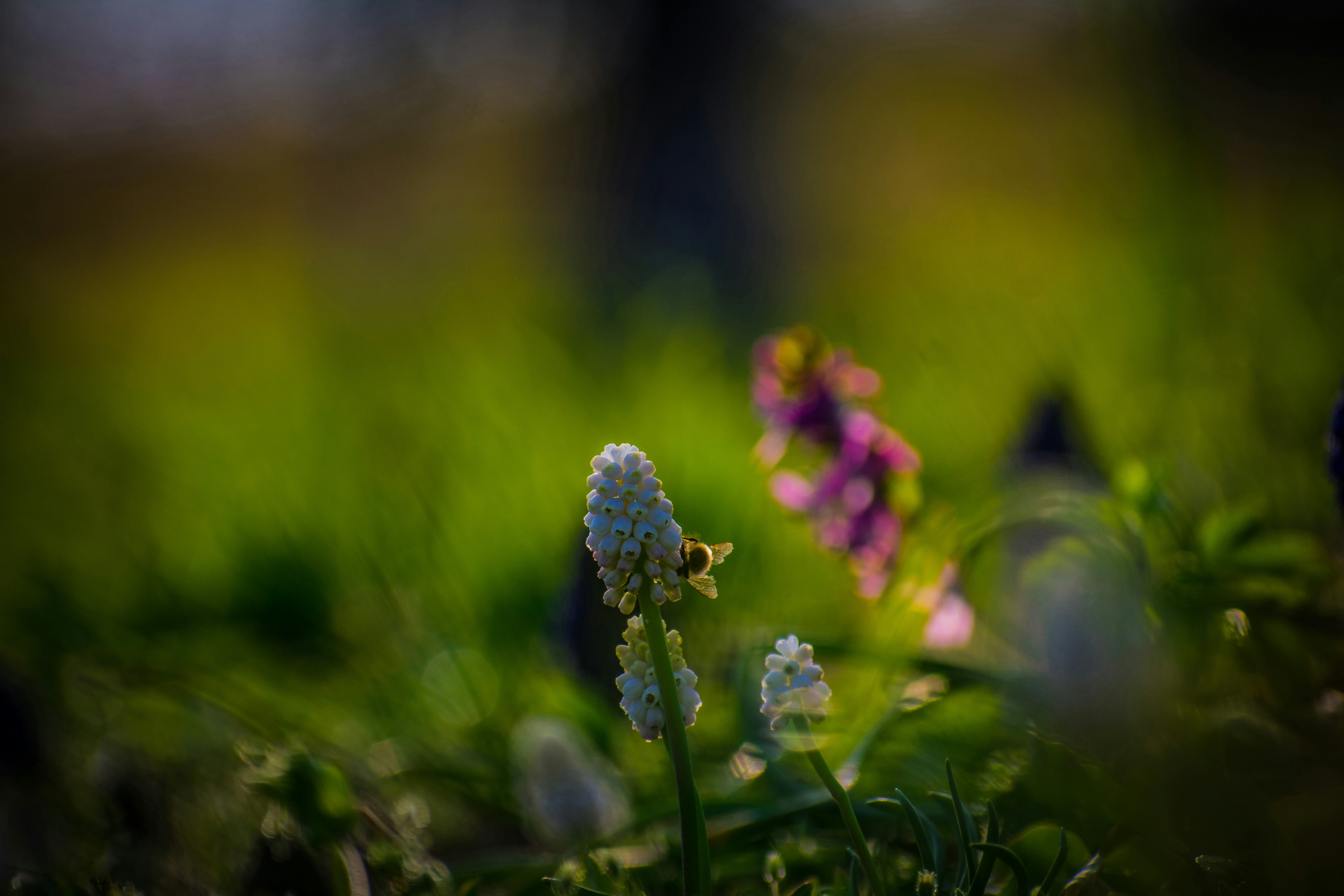 Photo by veronasenpai