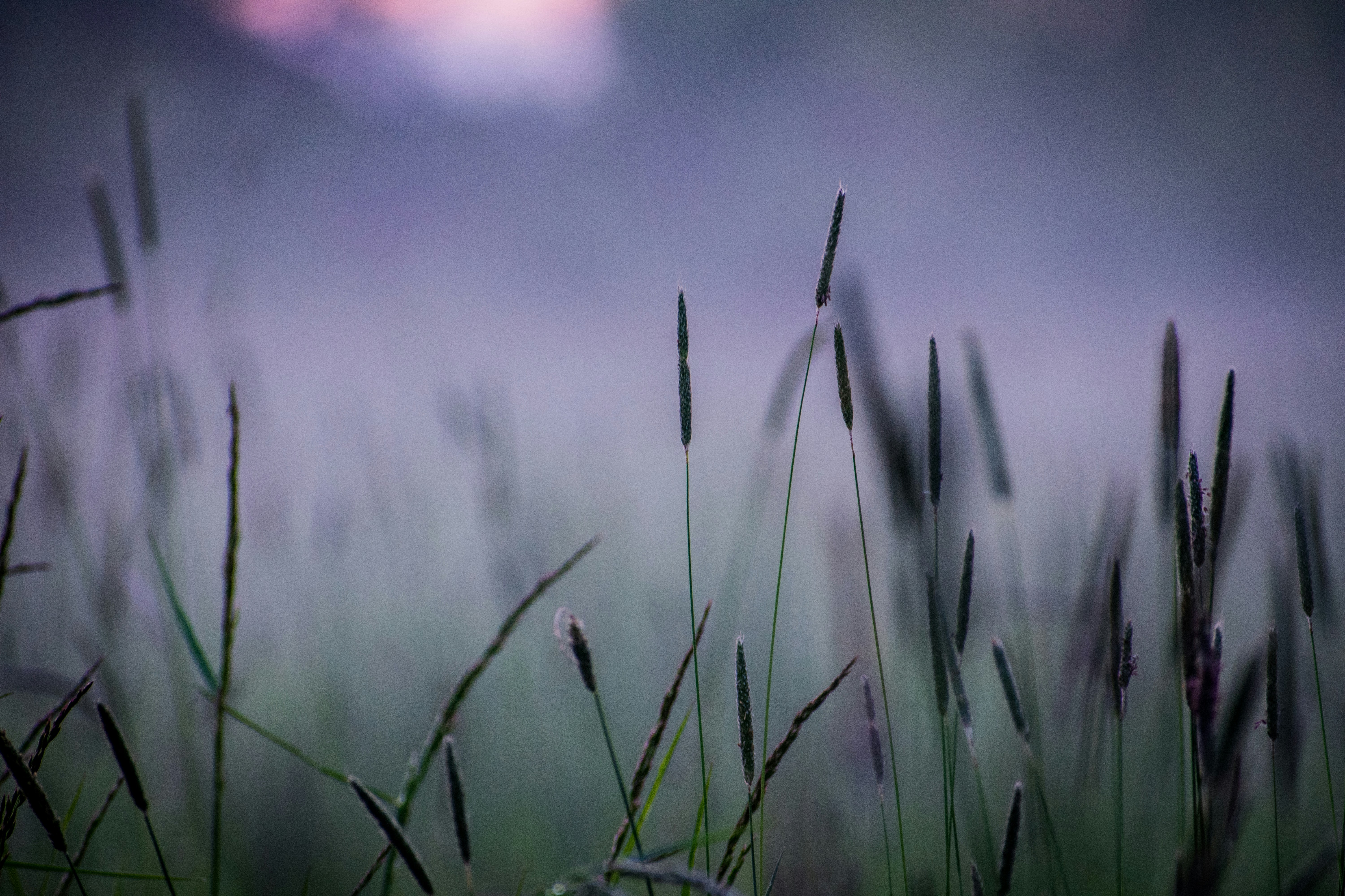 Photo by veronasenpai