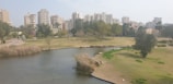 A serene park area adjacent to urban buildings.