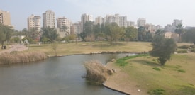 A serene park setting features a calm body of water bordered by grass and trees. Modern high-rise apartment buildings are visible in the background under a clear sky. Paved walkways and patches of vegetation add to the tranquil atmosphere.
