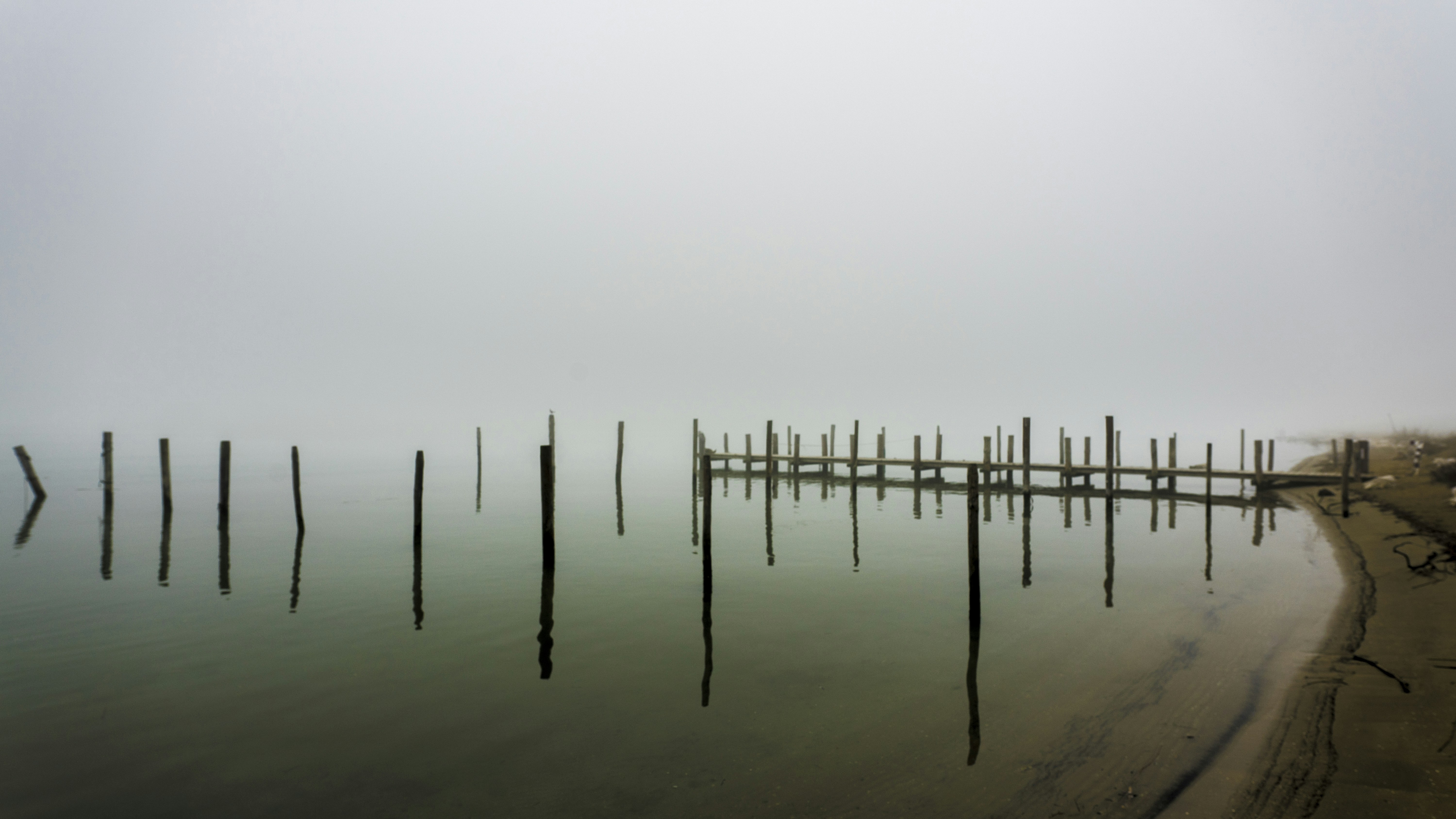 Photo by gopitri_prem