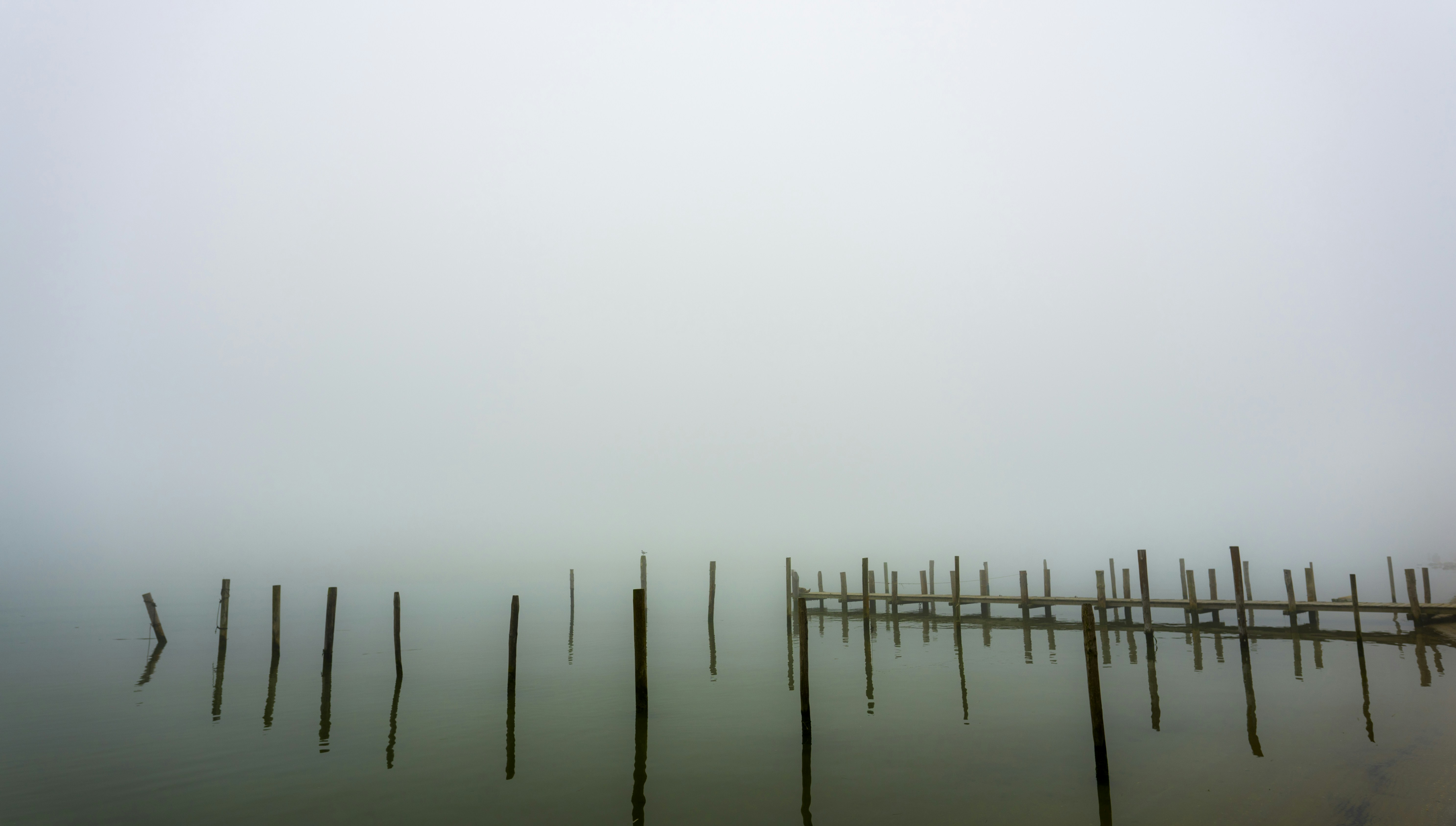 Photo by gopitri_prem