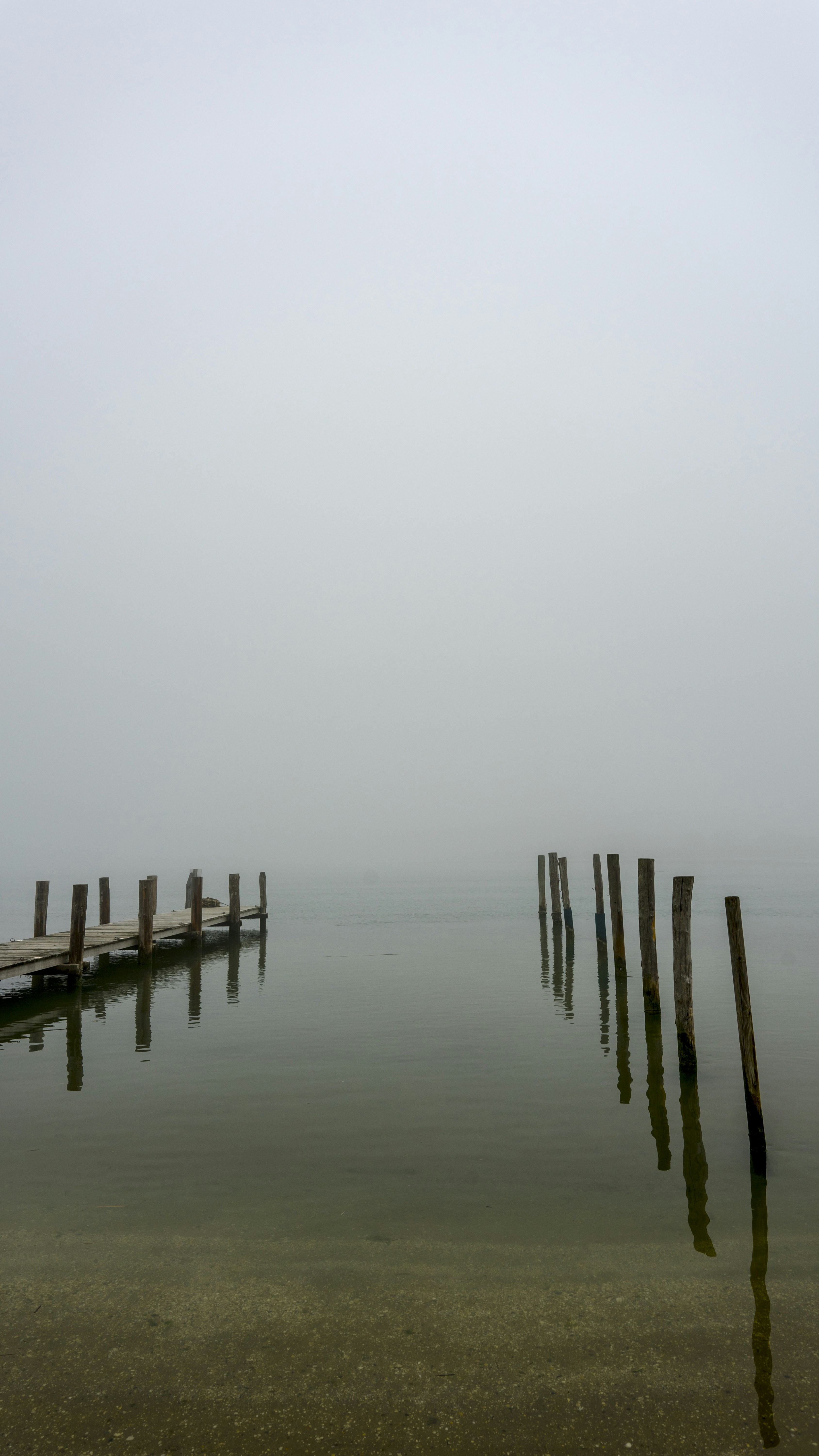 Photo by gopitri_prem