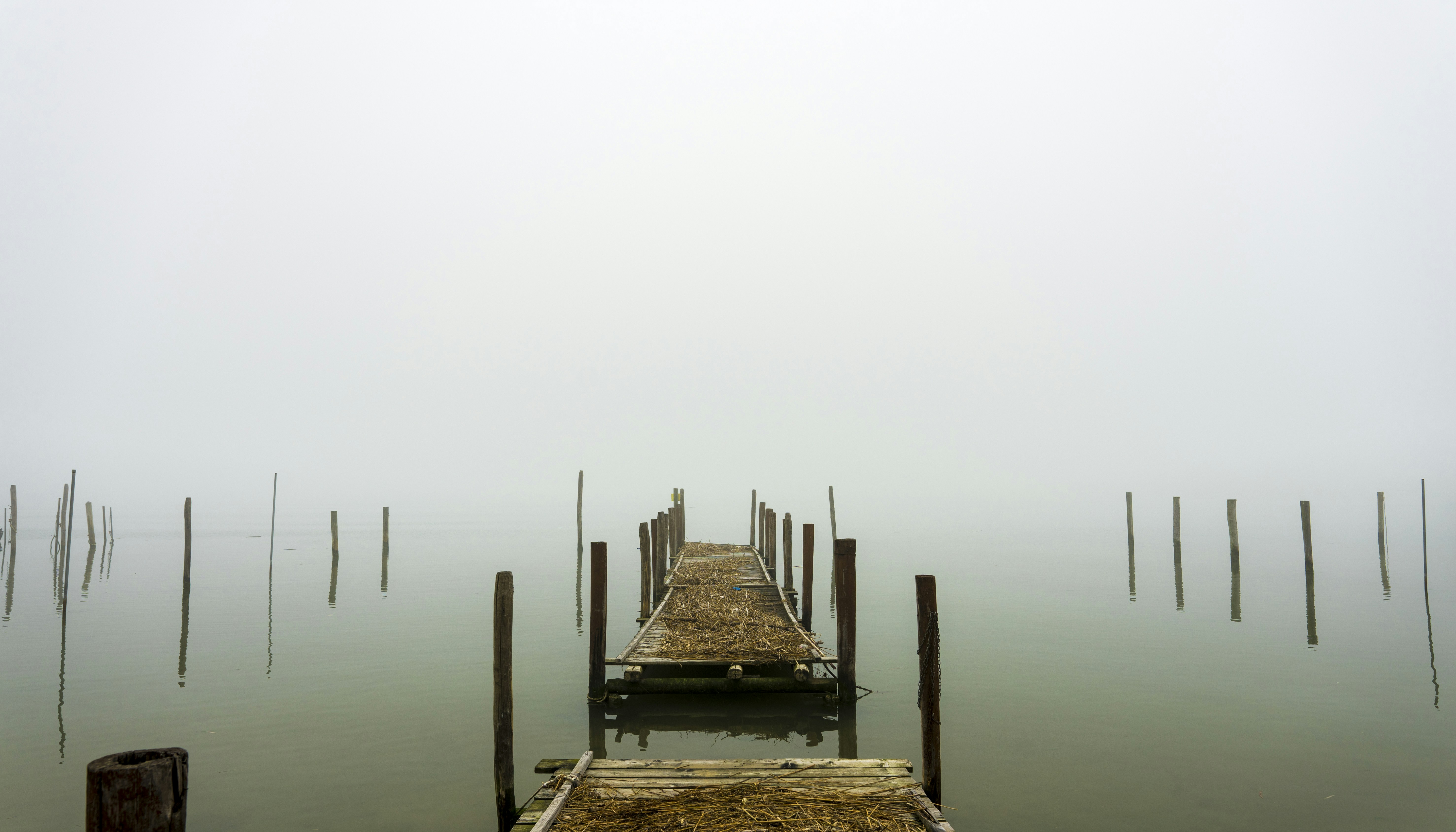 Photo by gopitri_prem