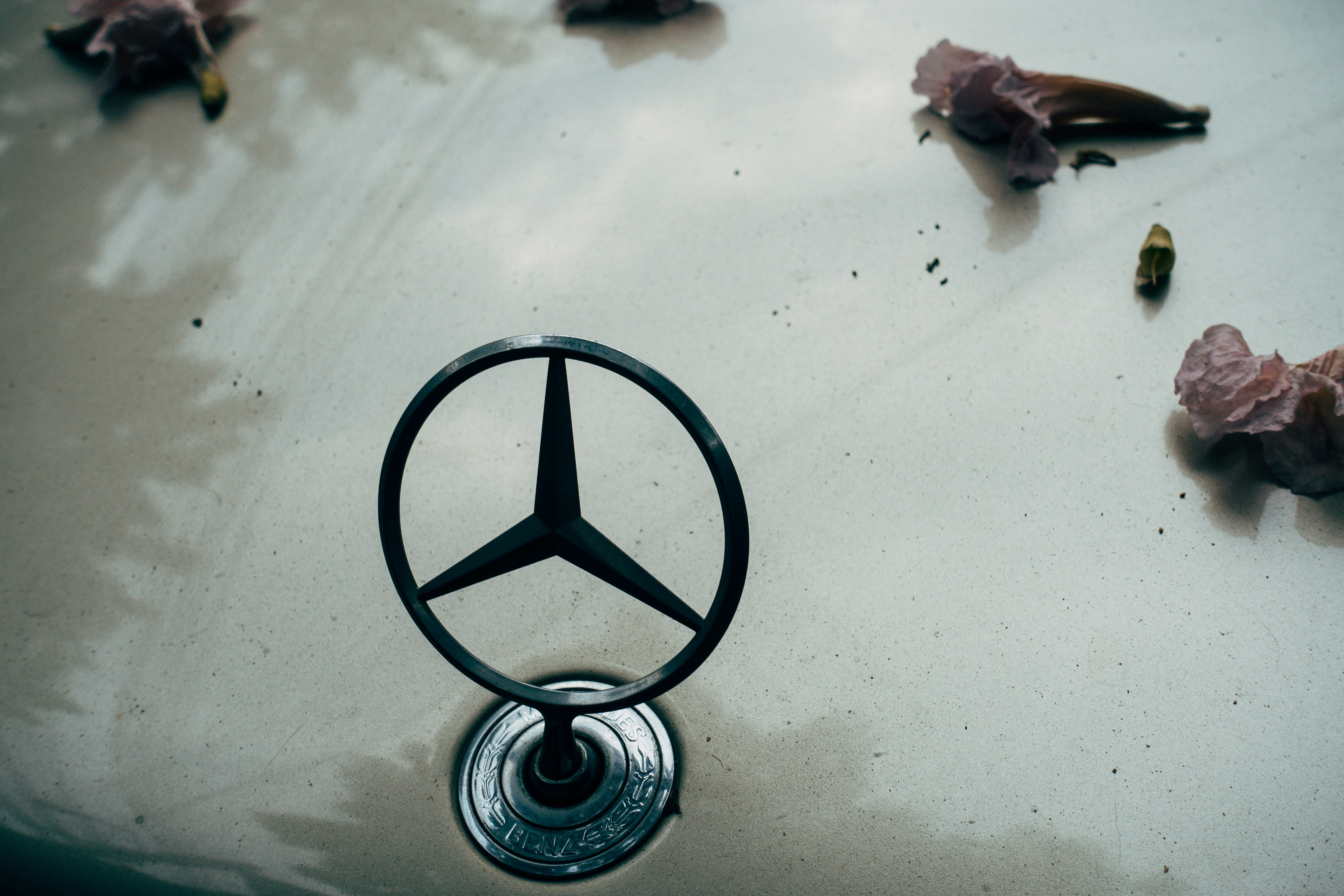 Photo by markuswinkler