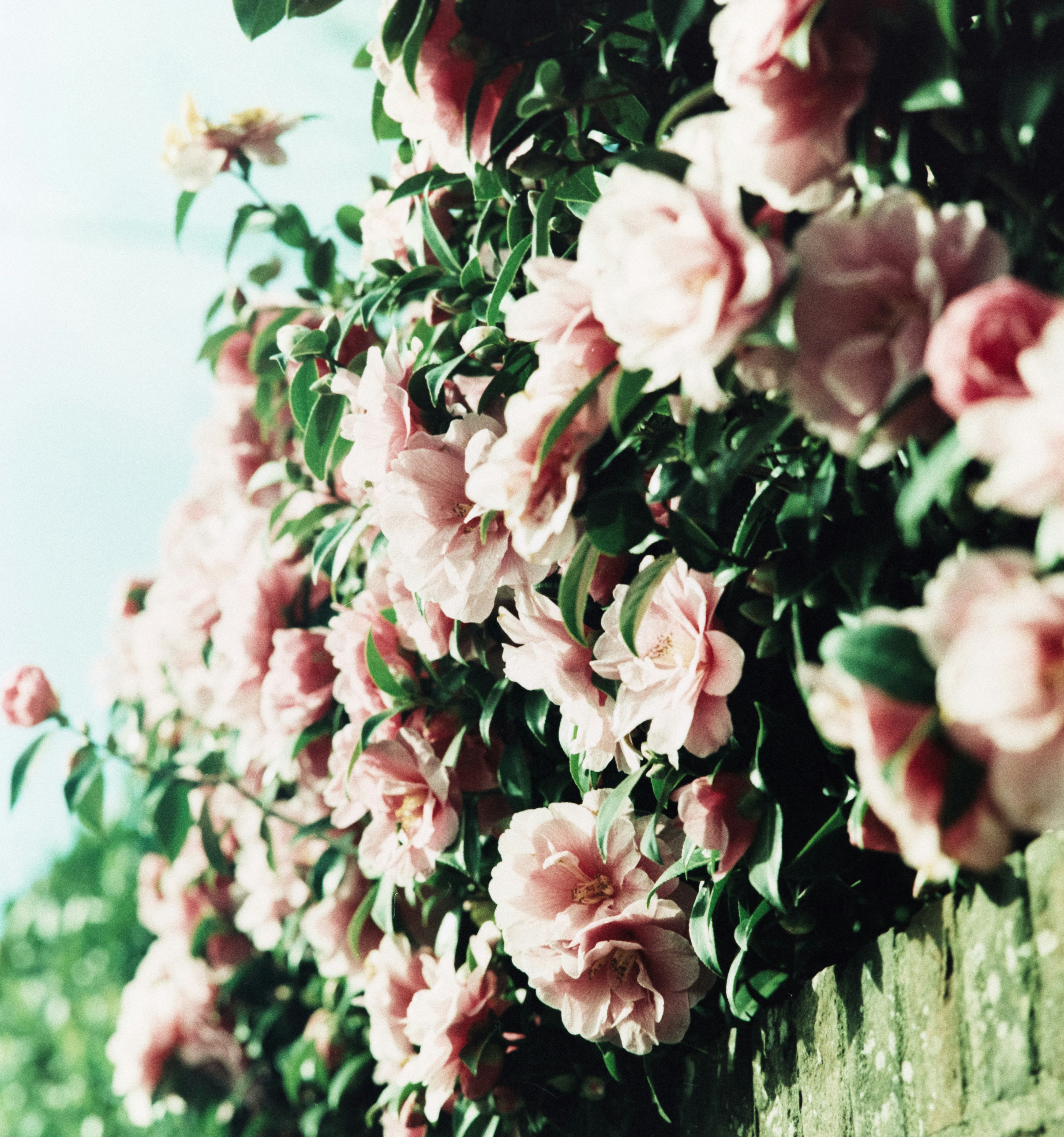 Photo by anniespratt