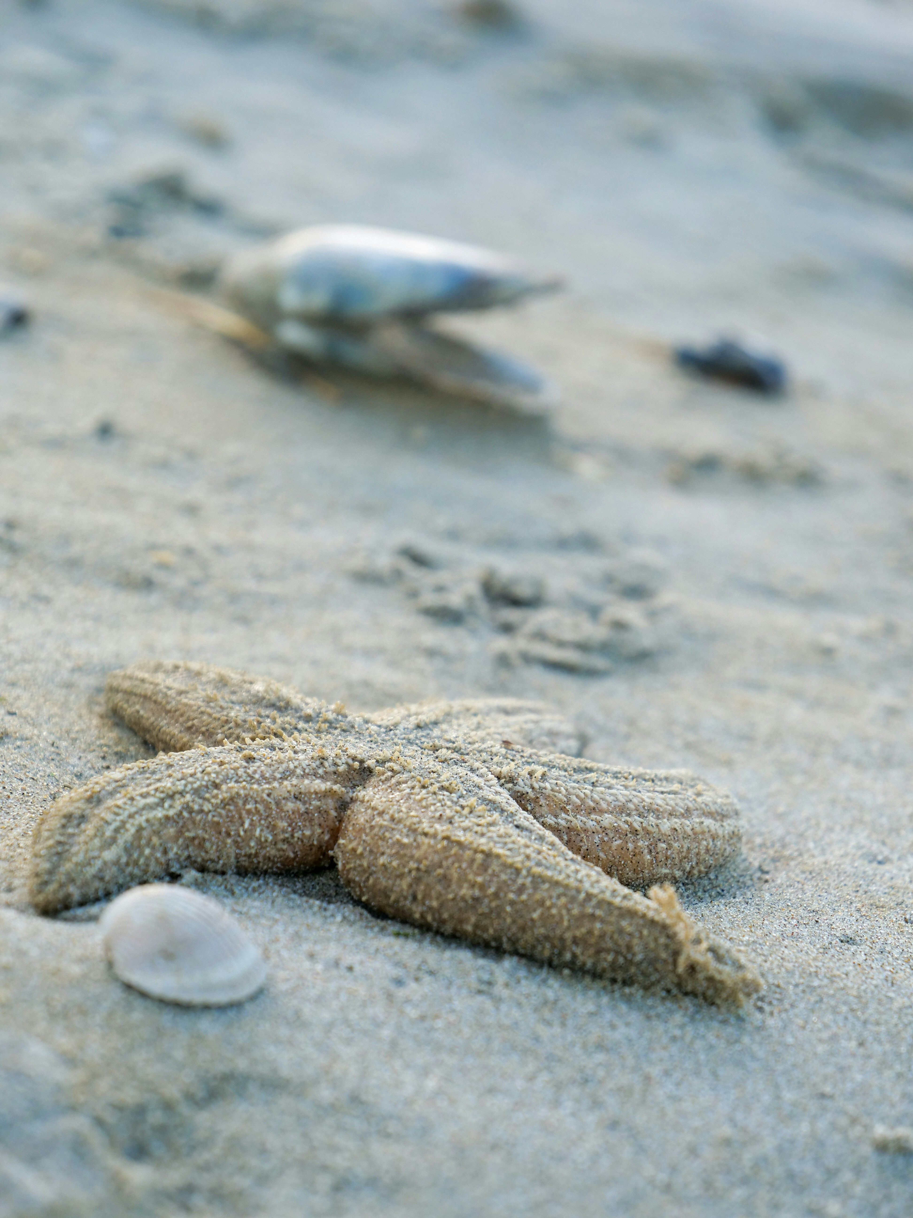 Photo by kirstennnnnnnn