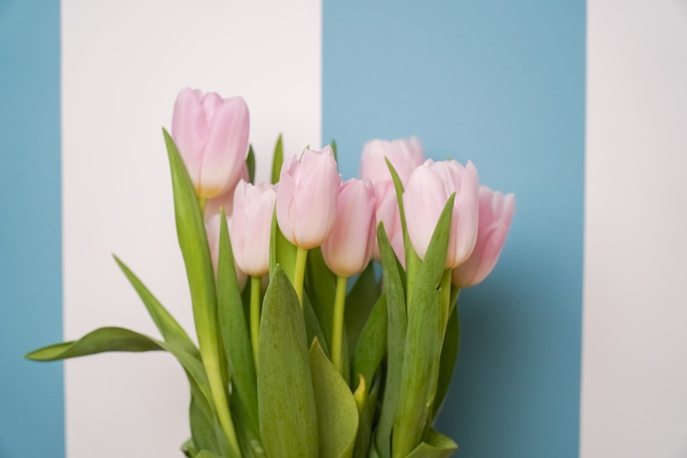 a bunch of pink tulips sitting in a vase