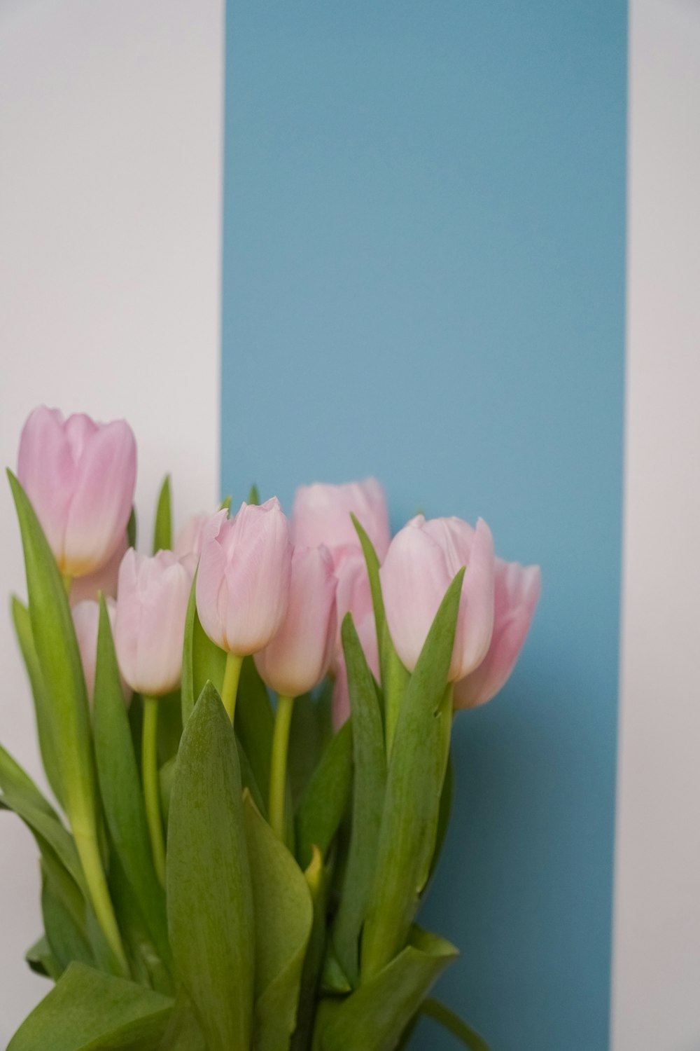 a bunch of pink tulips sitting in a vase