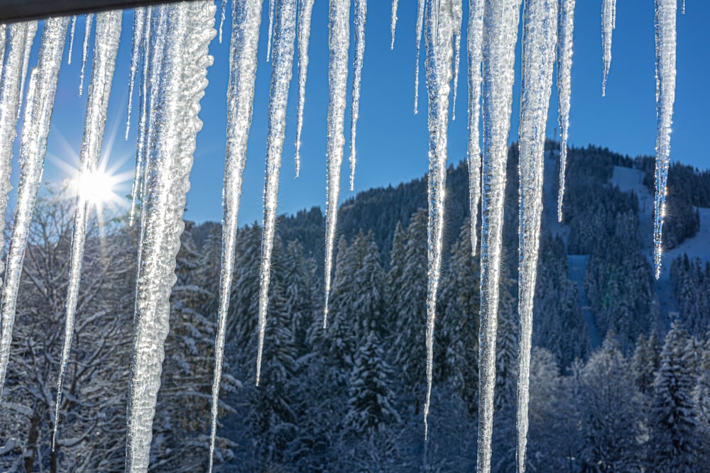 icicles hanging from the roof of a house