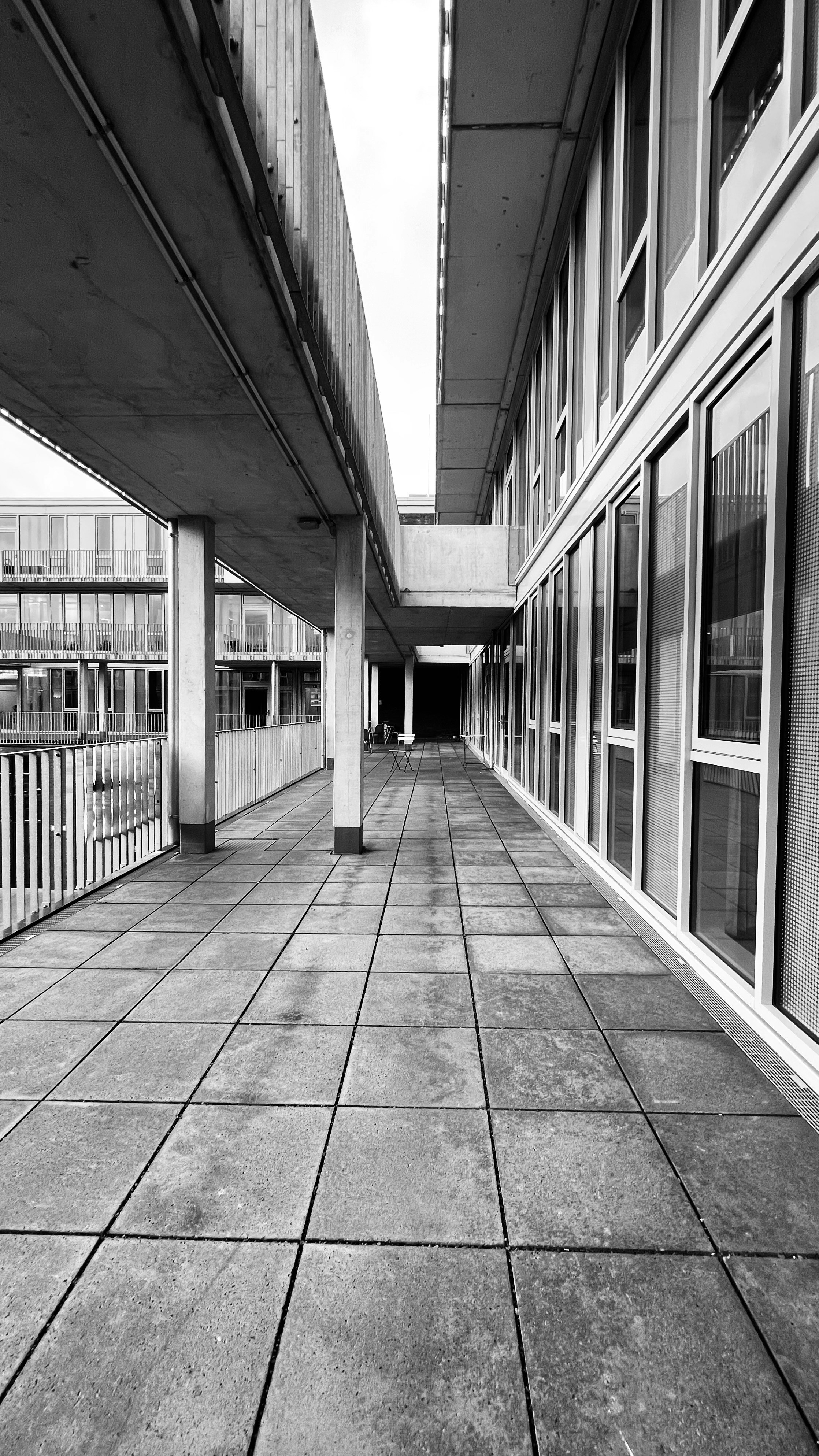 Photo by luis_de_leon