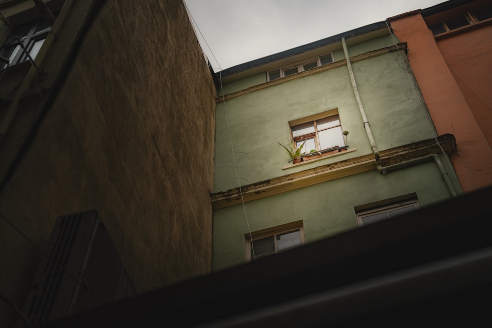 a green building with a window and a plant in the window