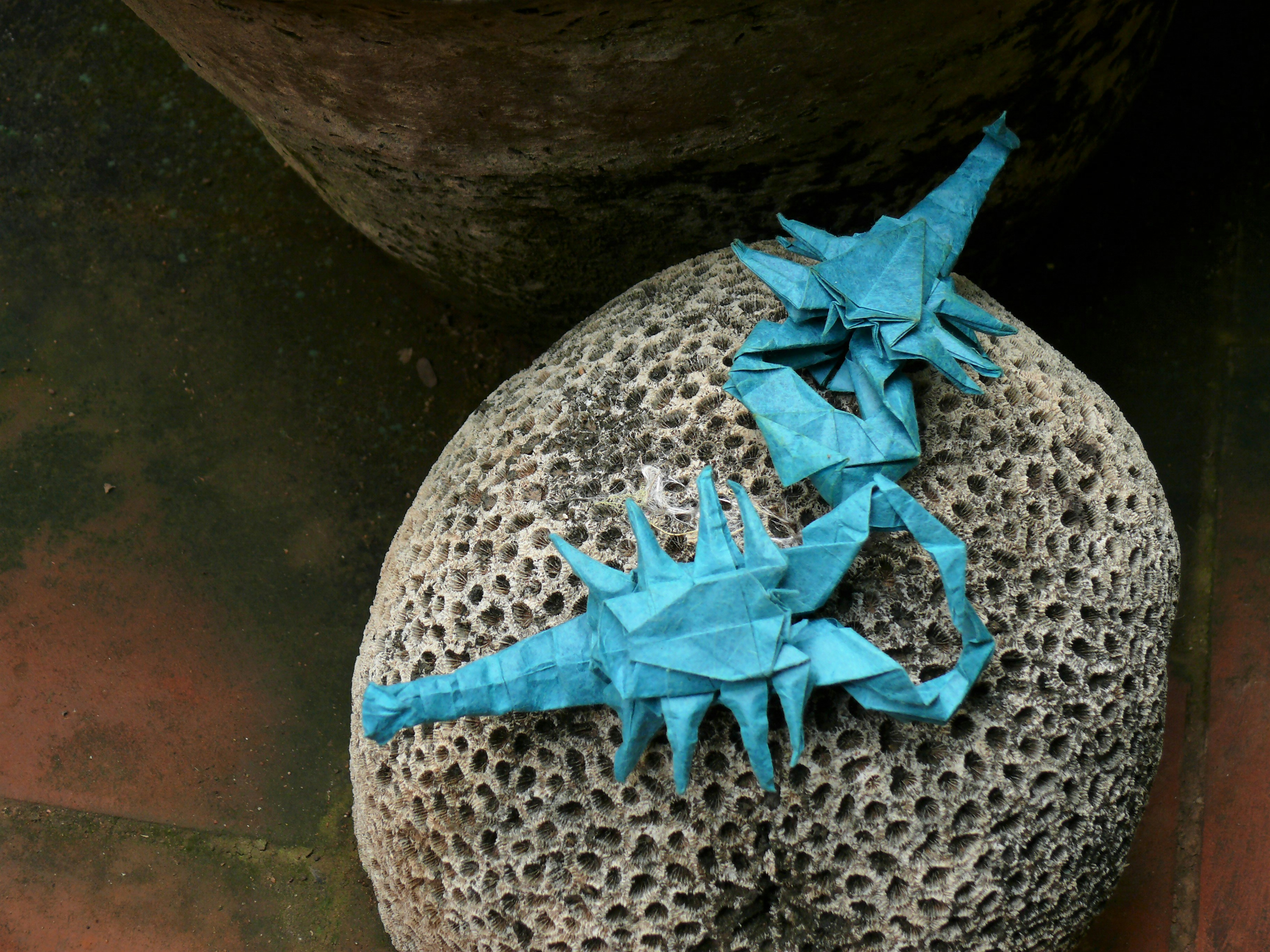 orgiami by Kartik Vighnesh ..  modeled and  photographed by Rhoda Alex