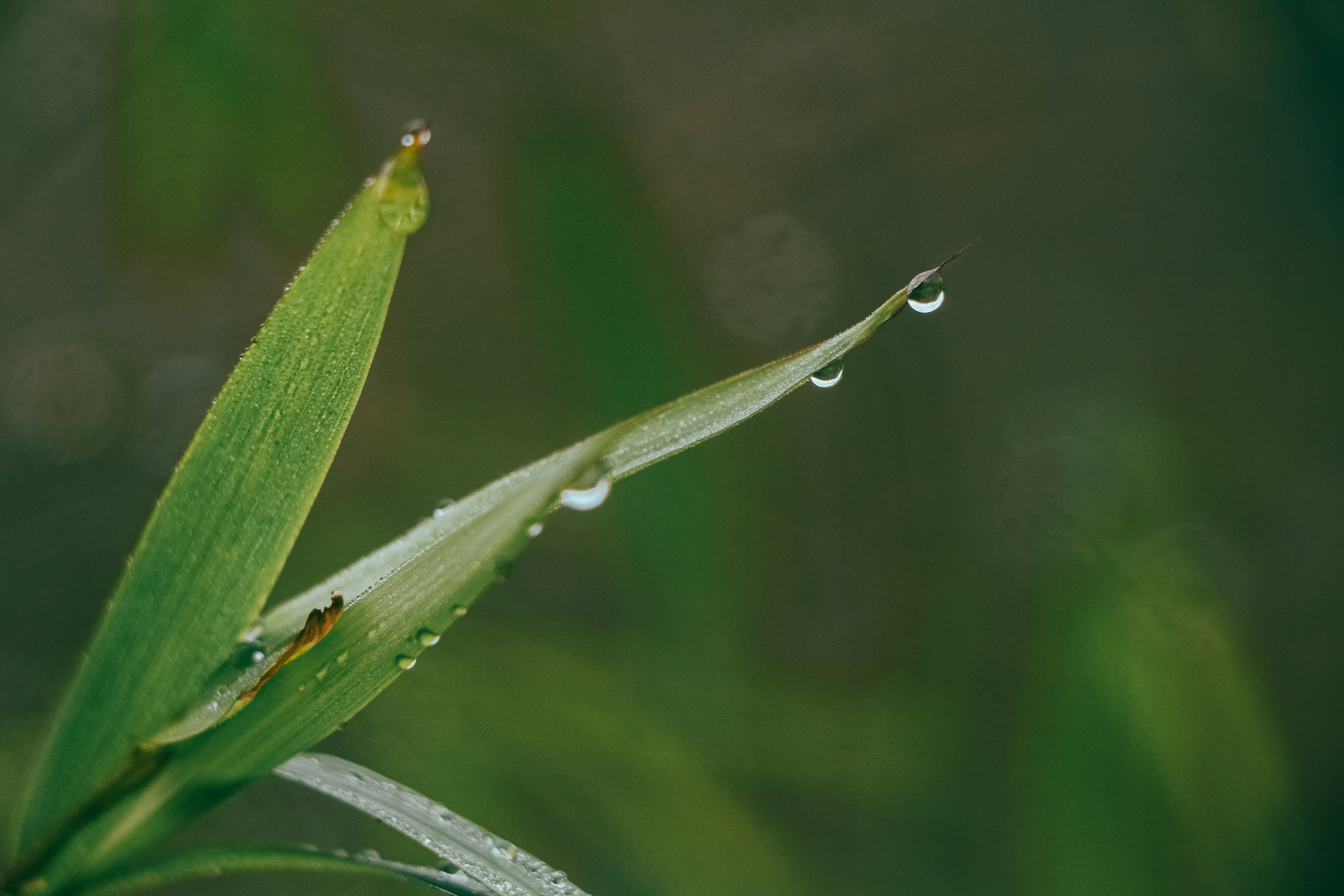 Photo by neha1301039