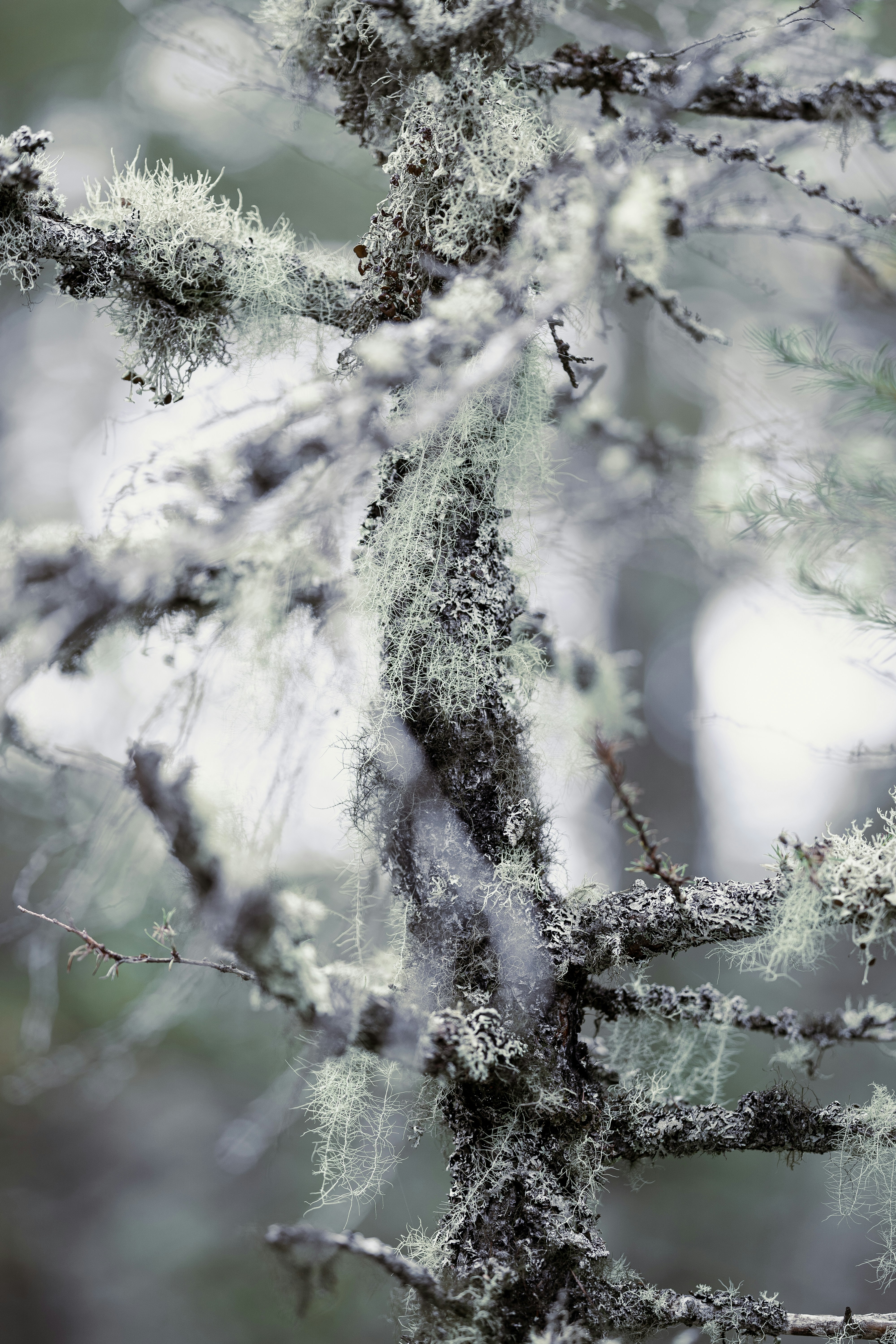 Photo by milestogobeforeisleep