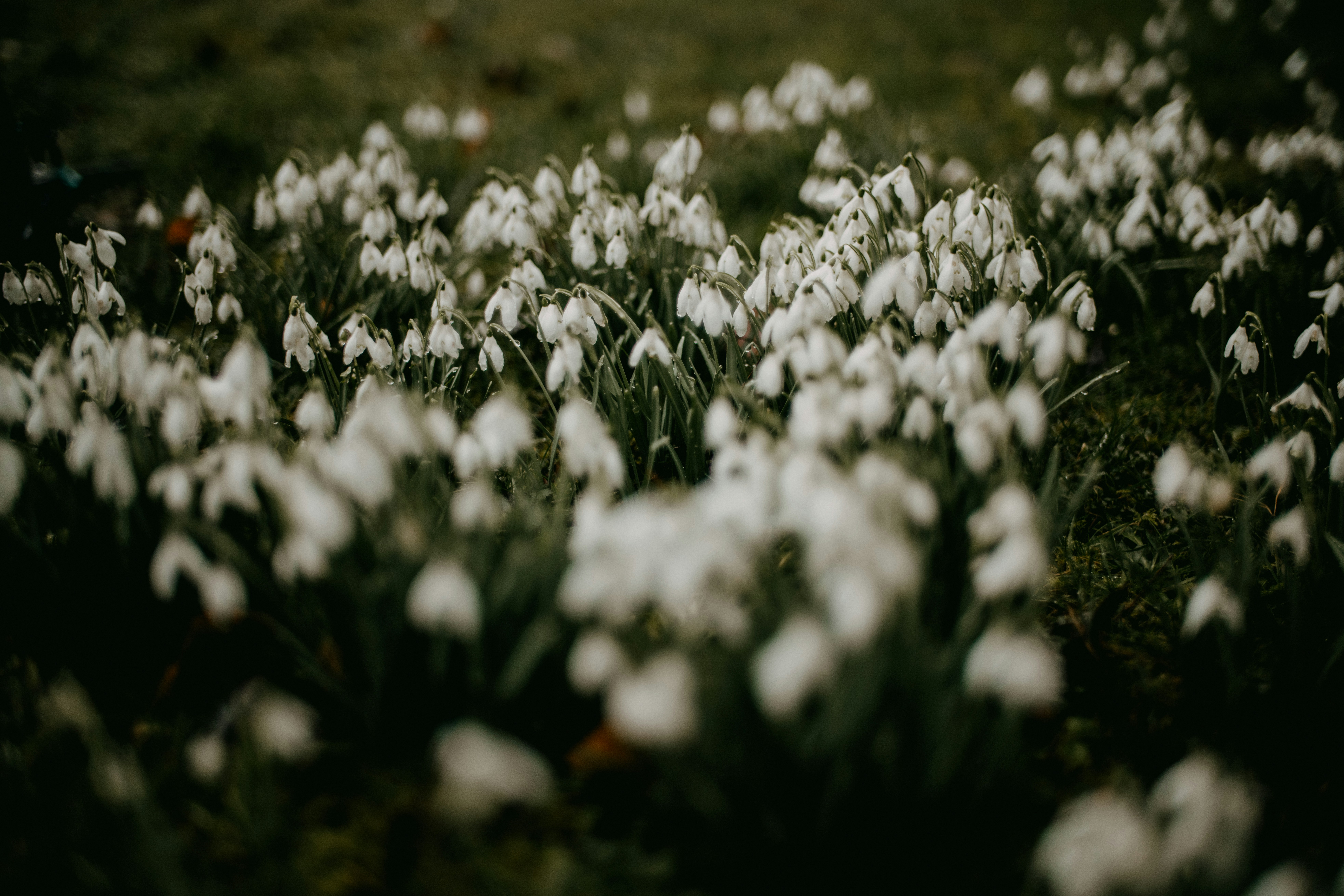 Photo by anniespratt