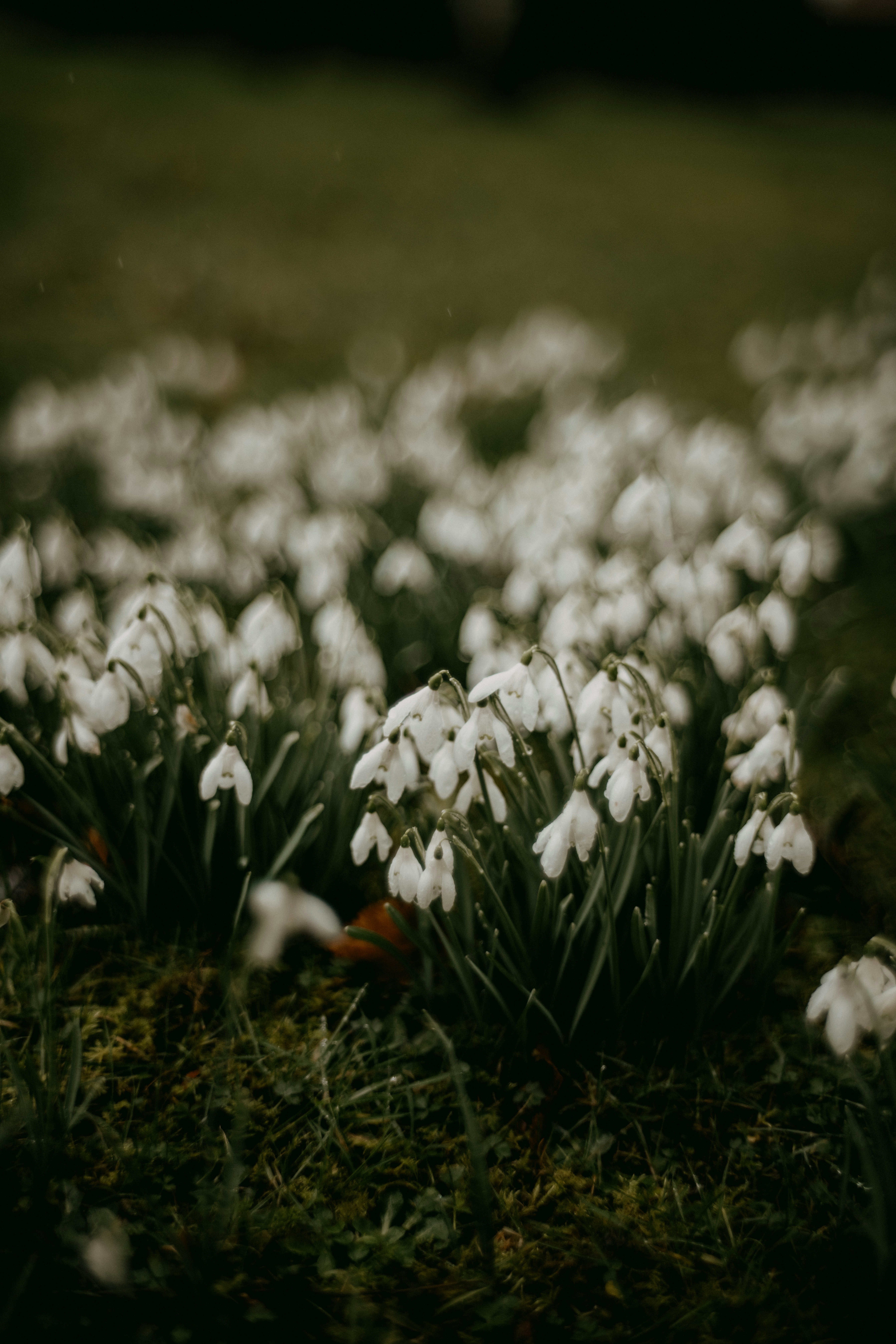 Photo by anniespratt