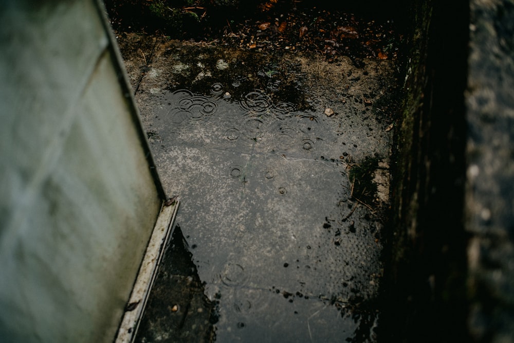 a puddle of water next to a building