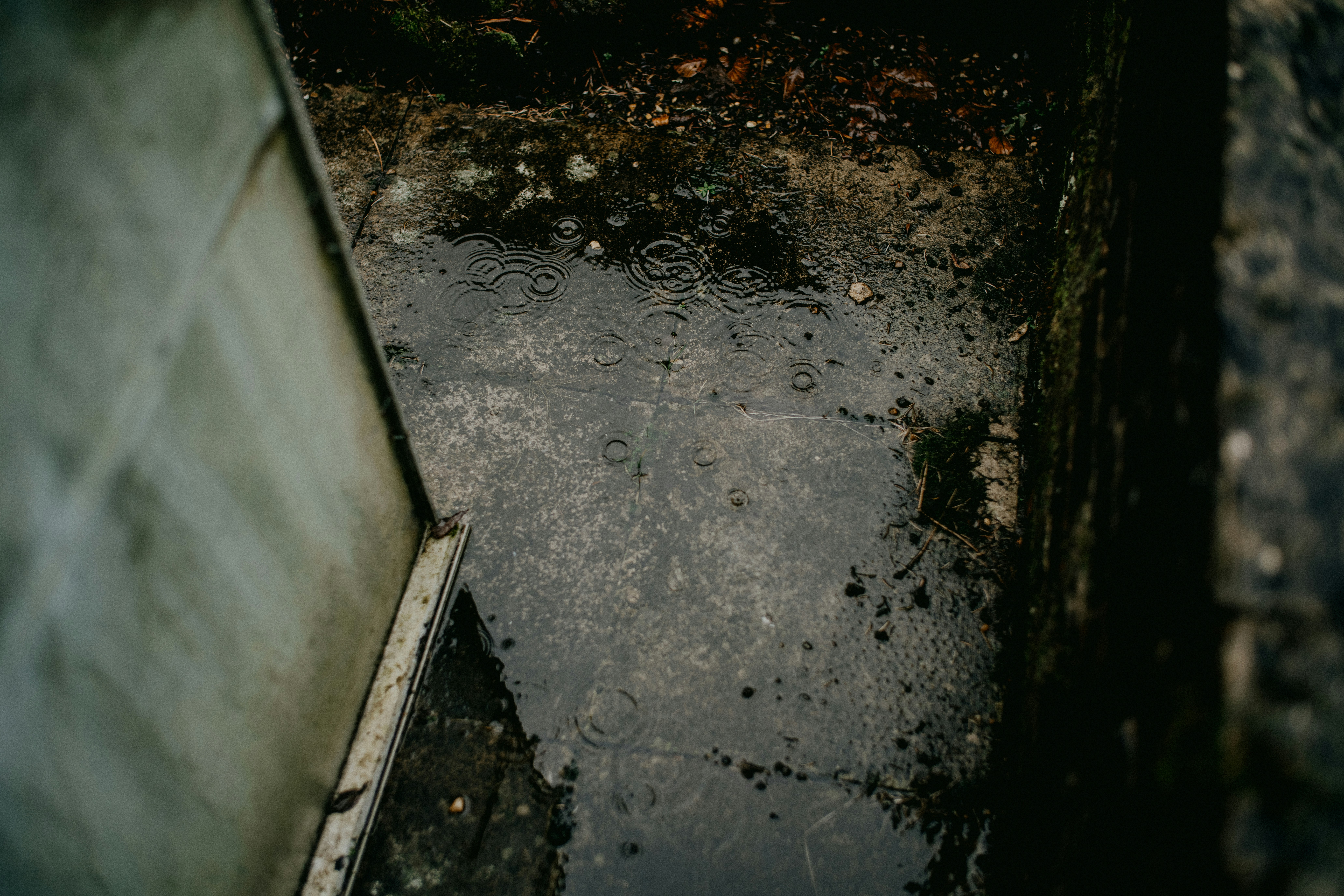 Cleanup Basement Flood Water Removal Water Damage Restoration