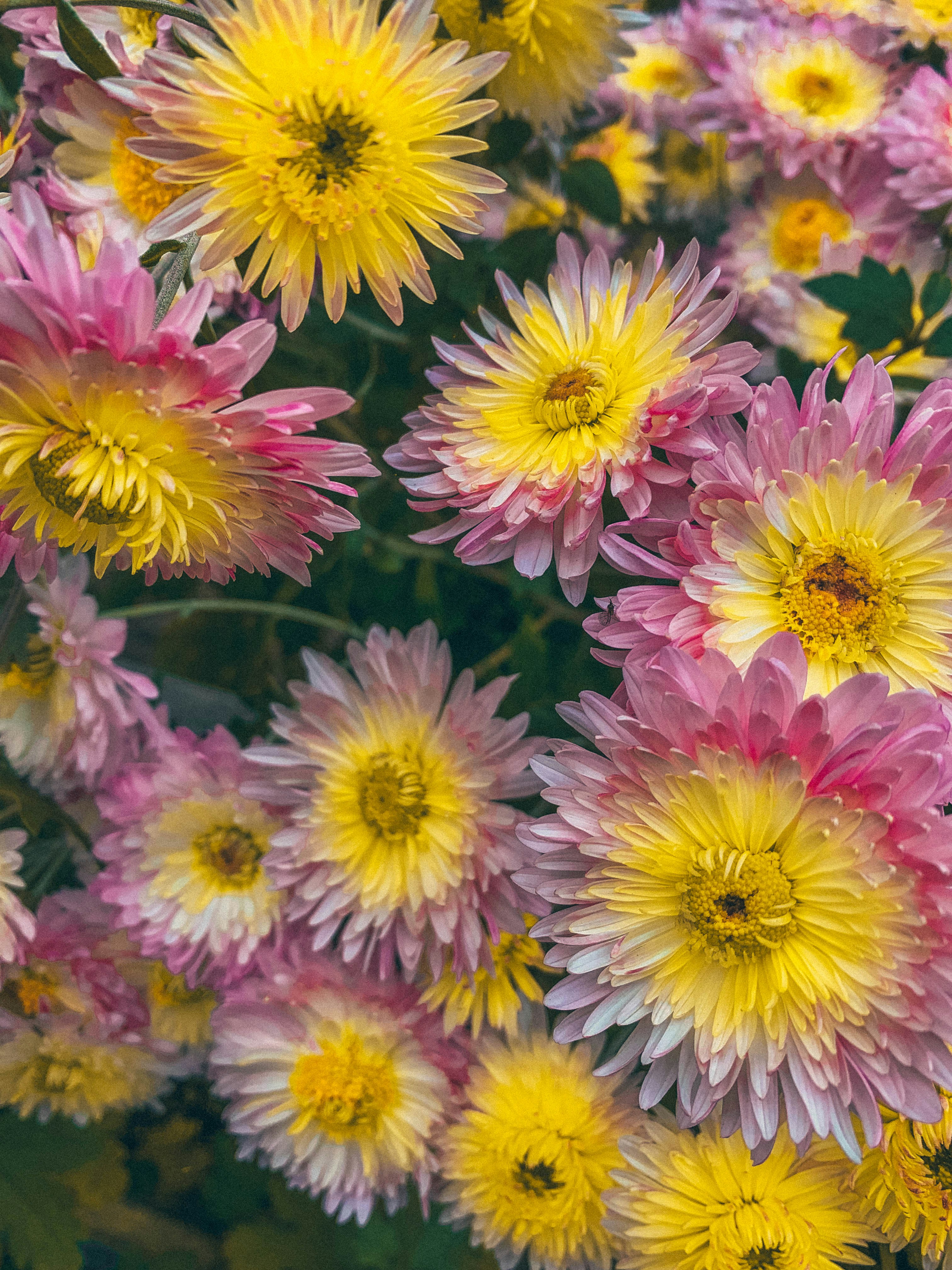 Photo by travelertraveler_