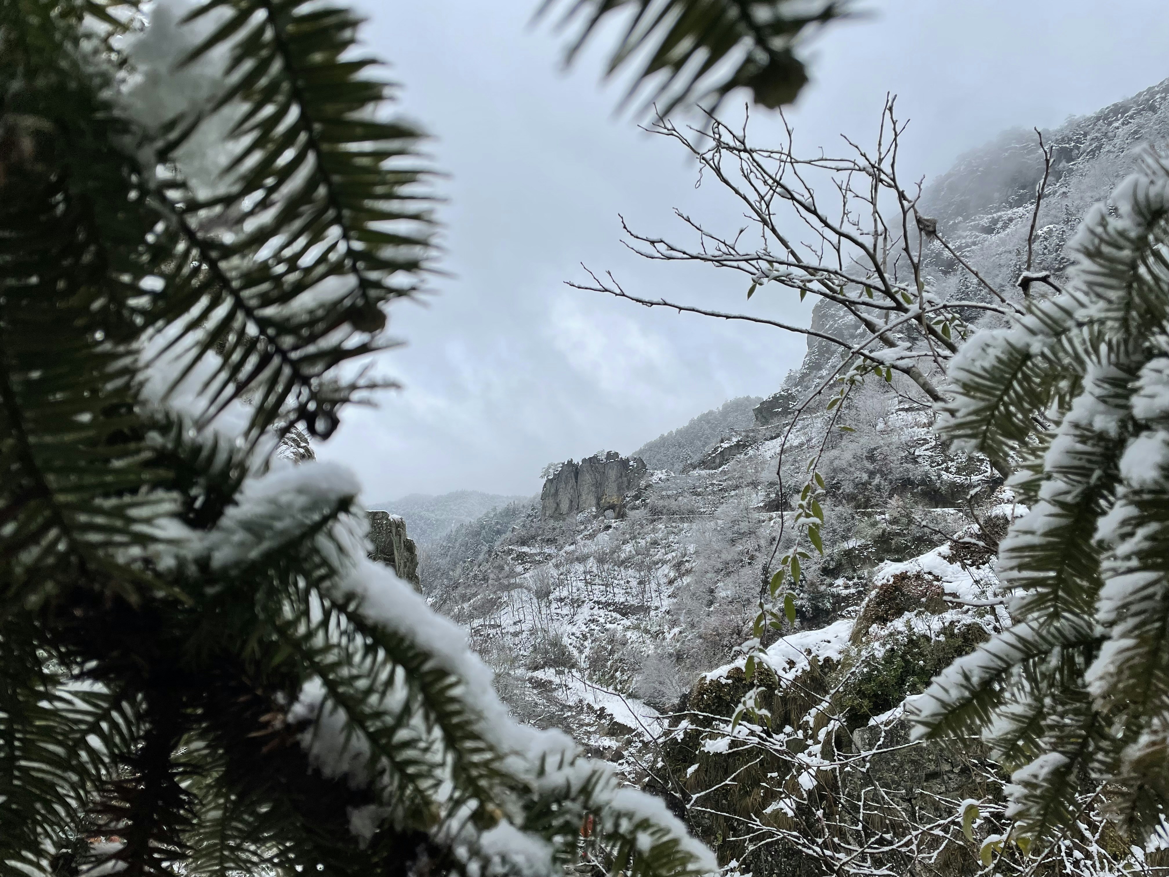 Photo by leoearthancha