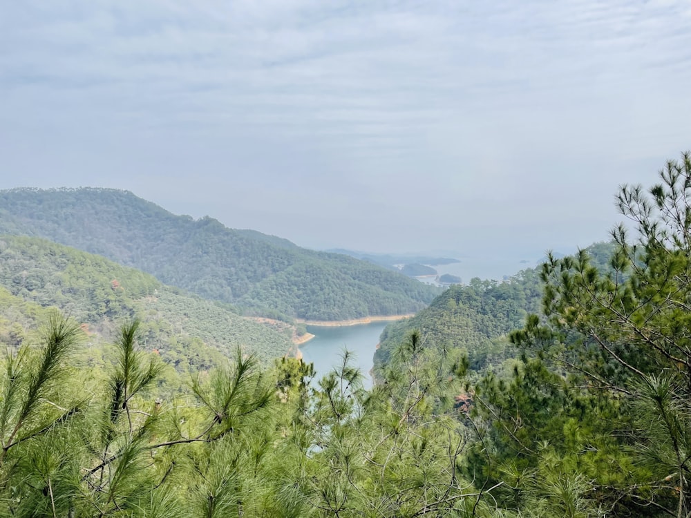 a view of a lake surrounded by trees