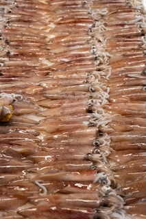 Fresh squid and cuttlefish laid out on a wooden board