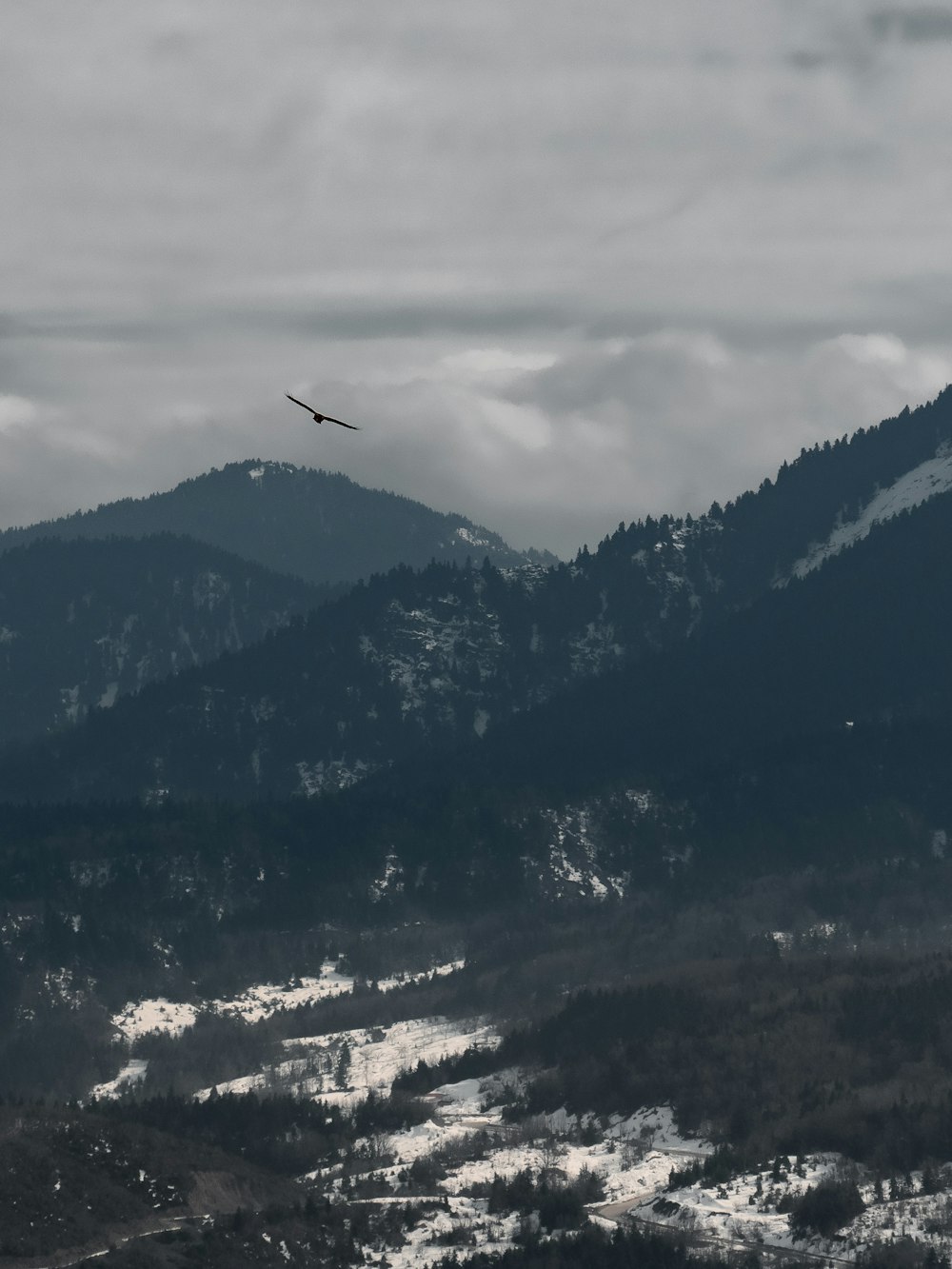 a bird flying over a snow covered mountain range