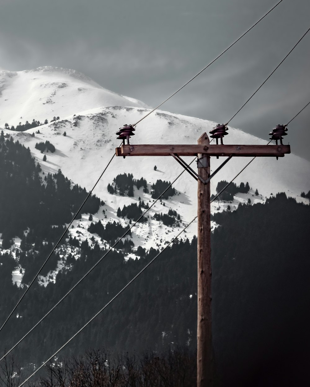 a telephone pole in front of a snowy mountain