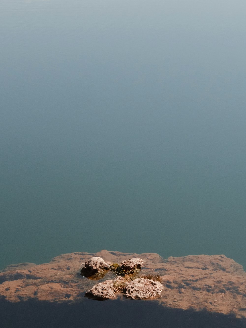 a lone bird sitting on a rock in the middle of a body of water