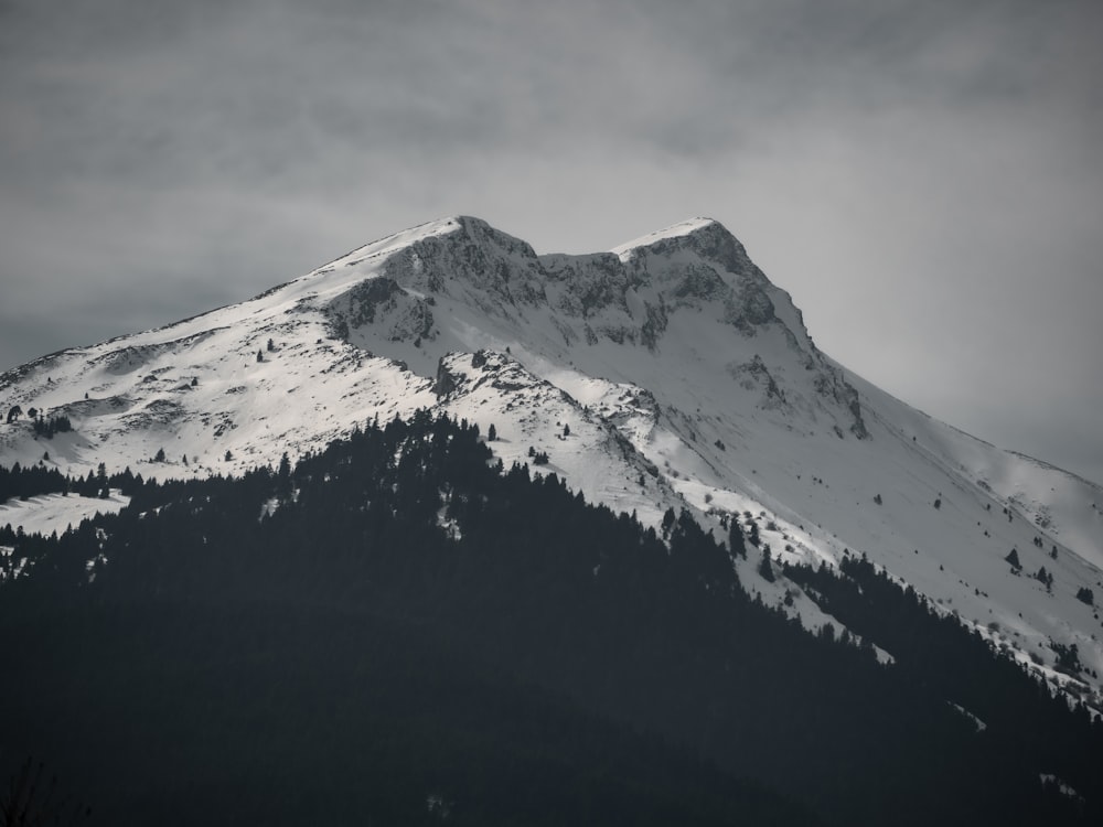 a snow covered mountain with trees on the side