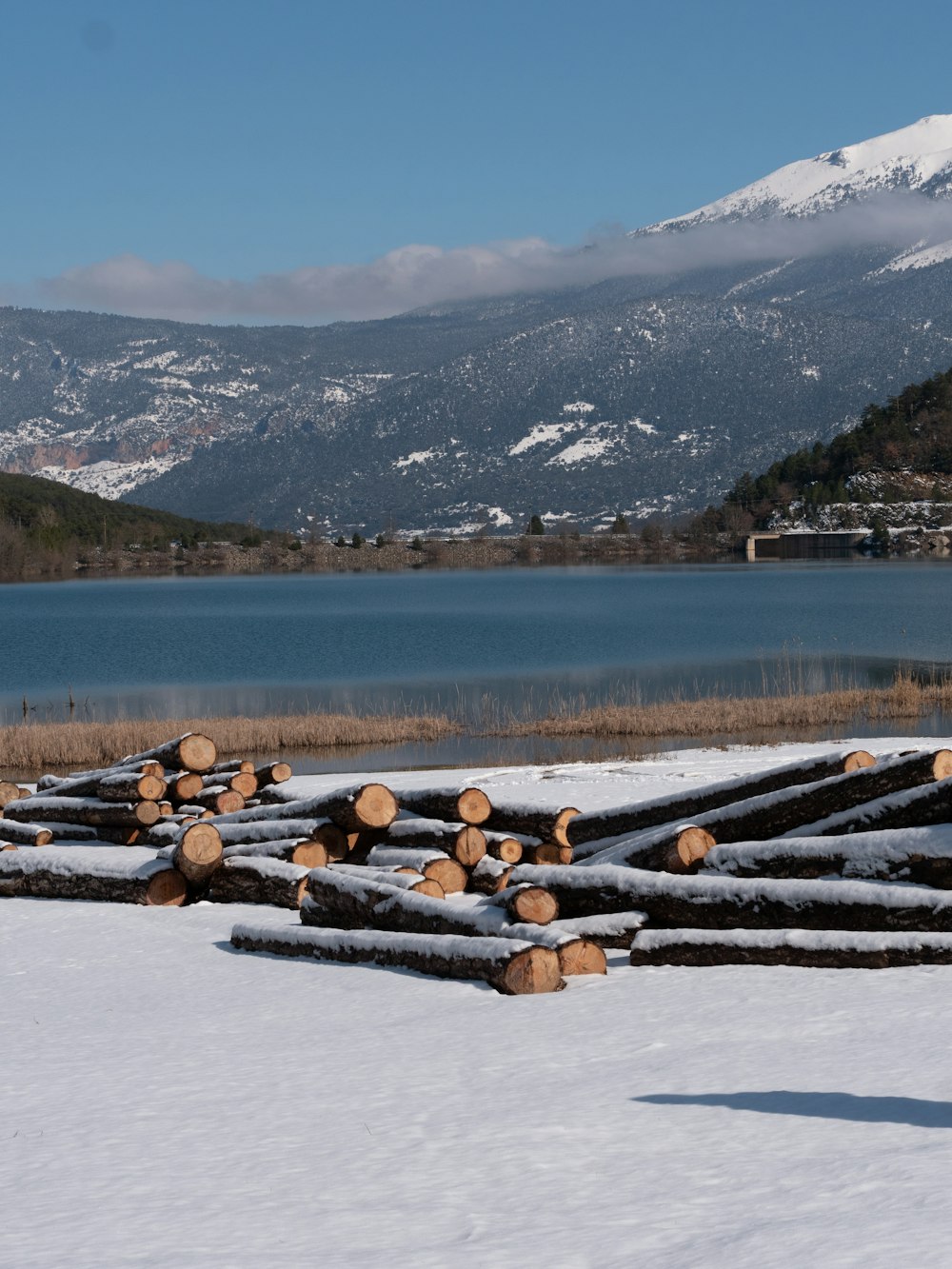 uma pilha de troncos sentados na neve ao lado de um lago