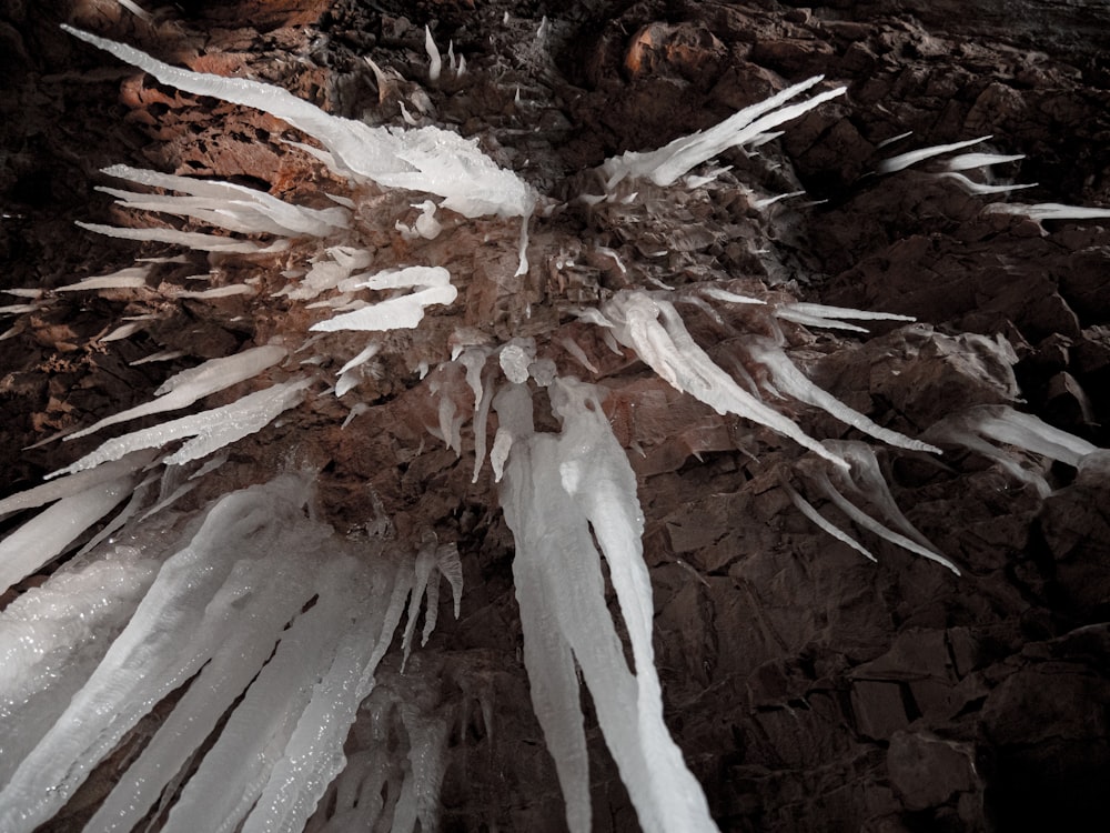 a close up of a bunch of ice crystals