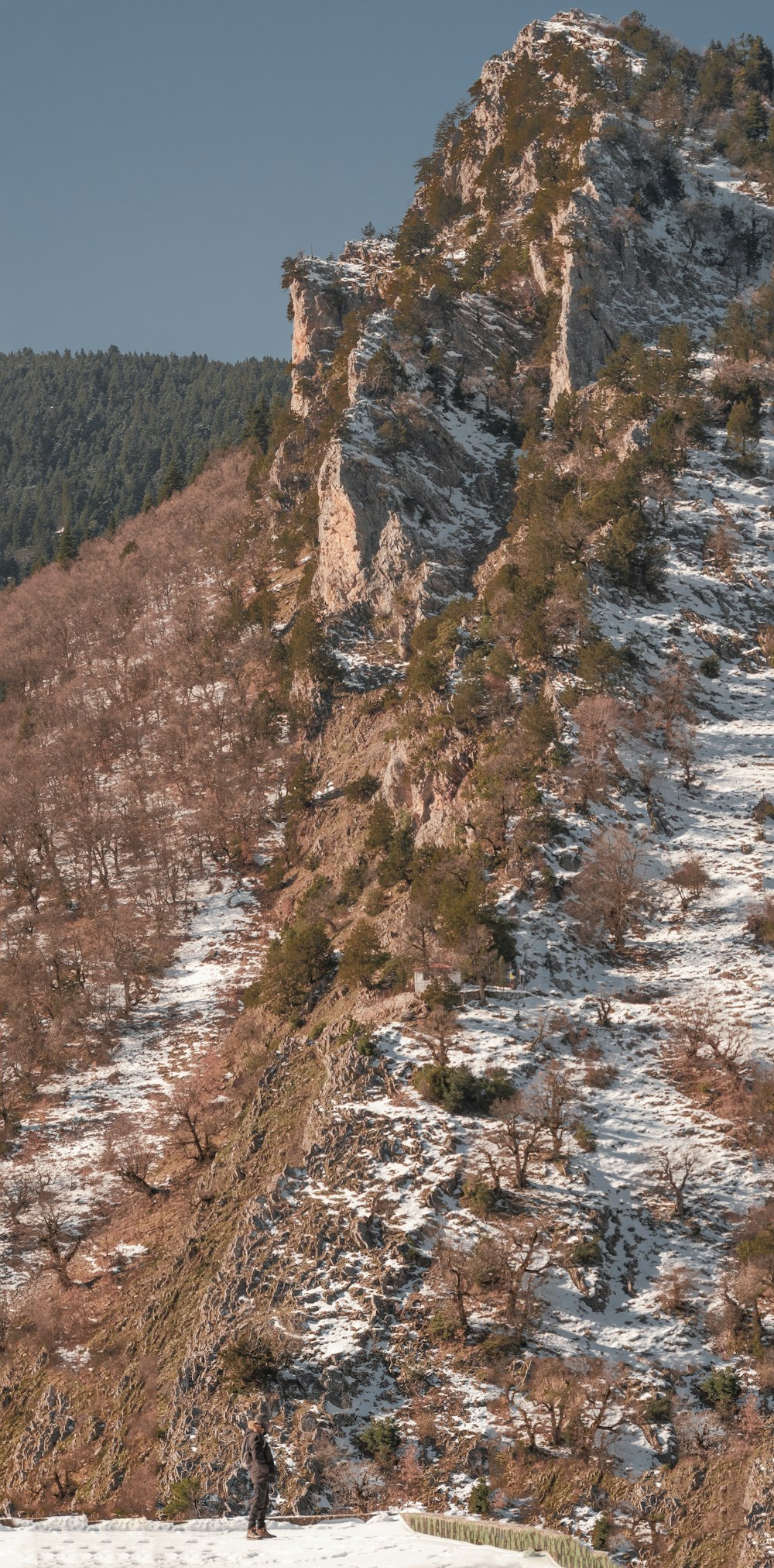 a man riding skis down a snow covered slope