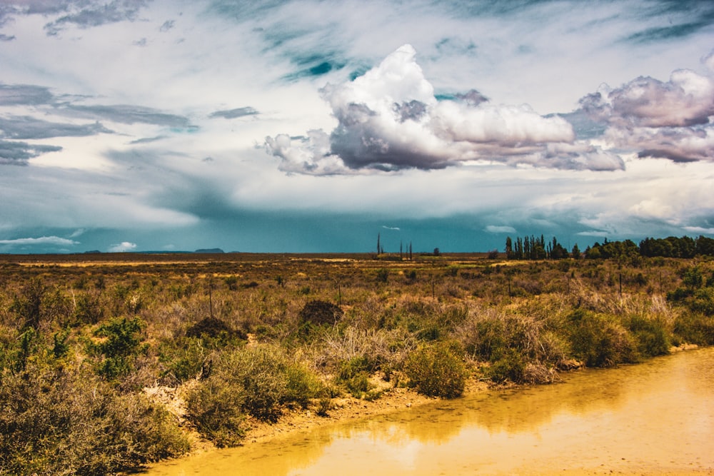 a large body of water sitting in a dry grass field