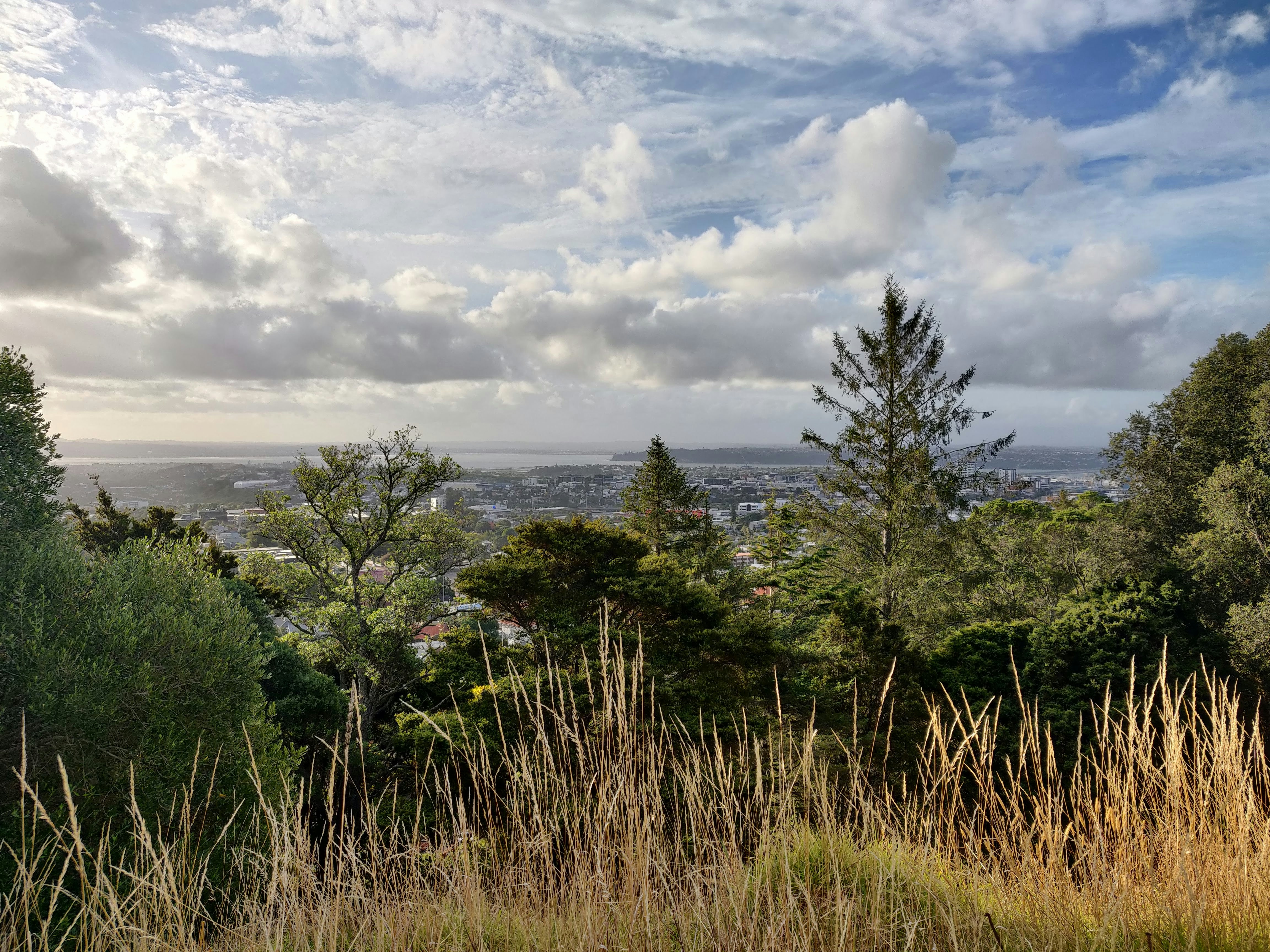 Image by Punyashree Venkatram via Unsplash