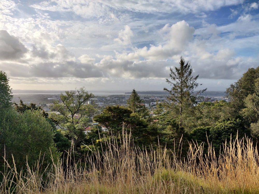 a view of a city from the top of a hill